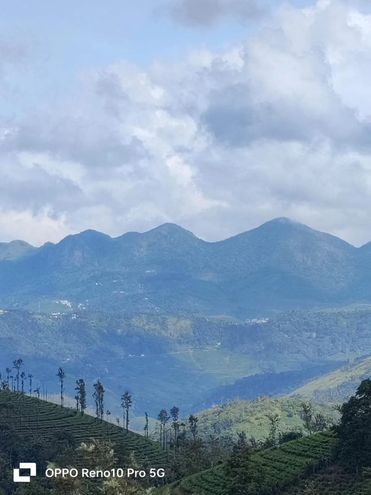View (from property/room) in Pine Clough Resort Vagamon
