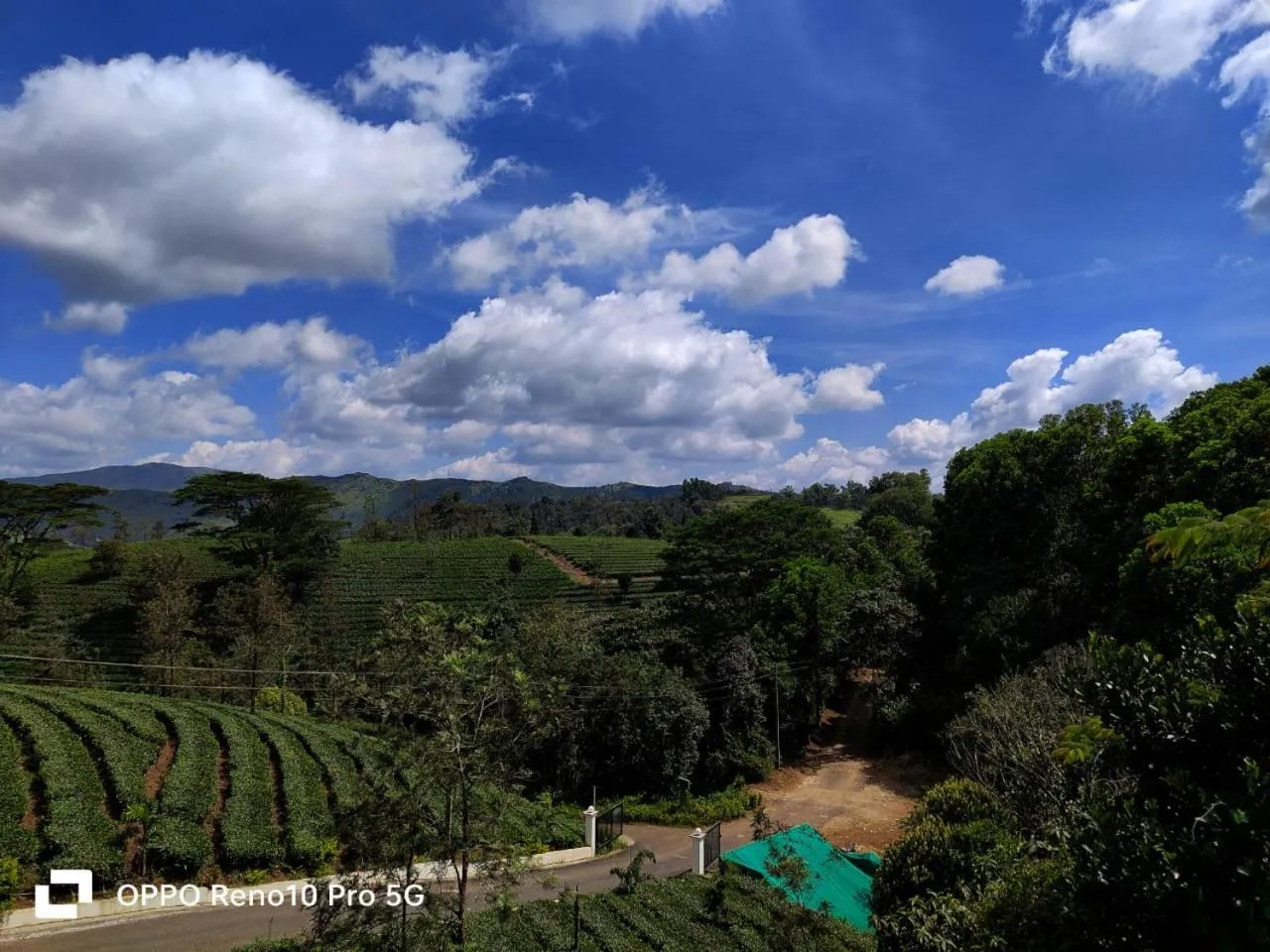 Natural landscape in Pine Clough Resort Vagamon