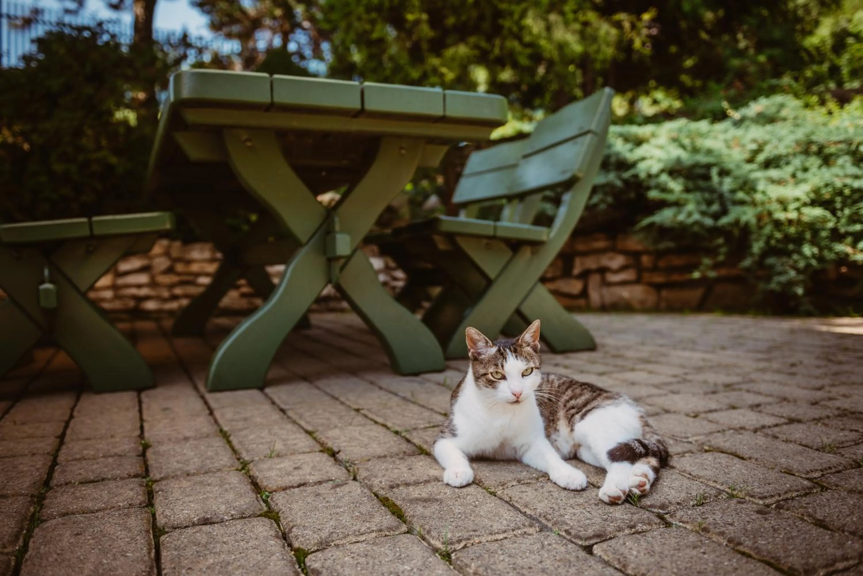 Animals in Zajazd Srebrna Gora