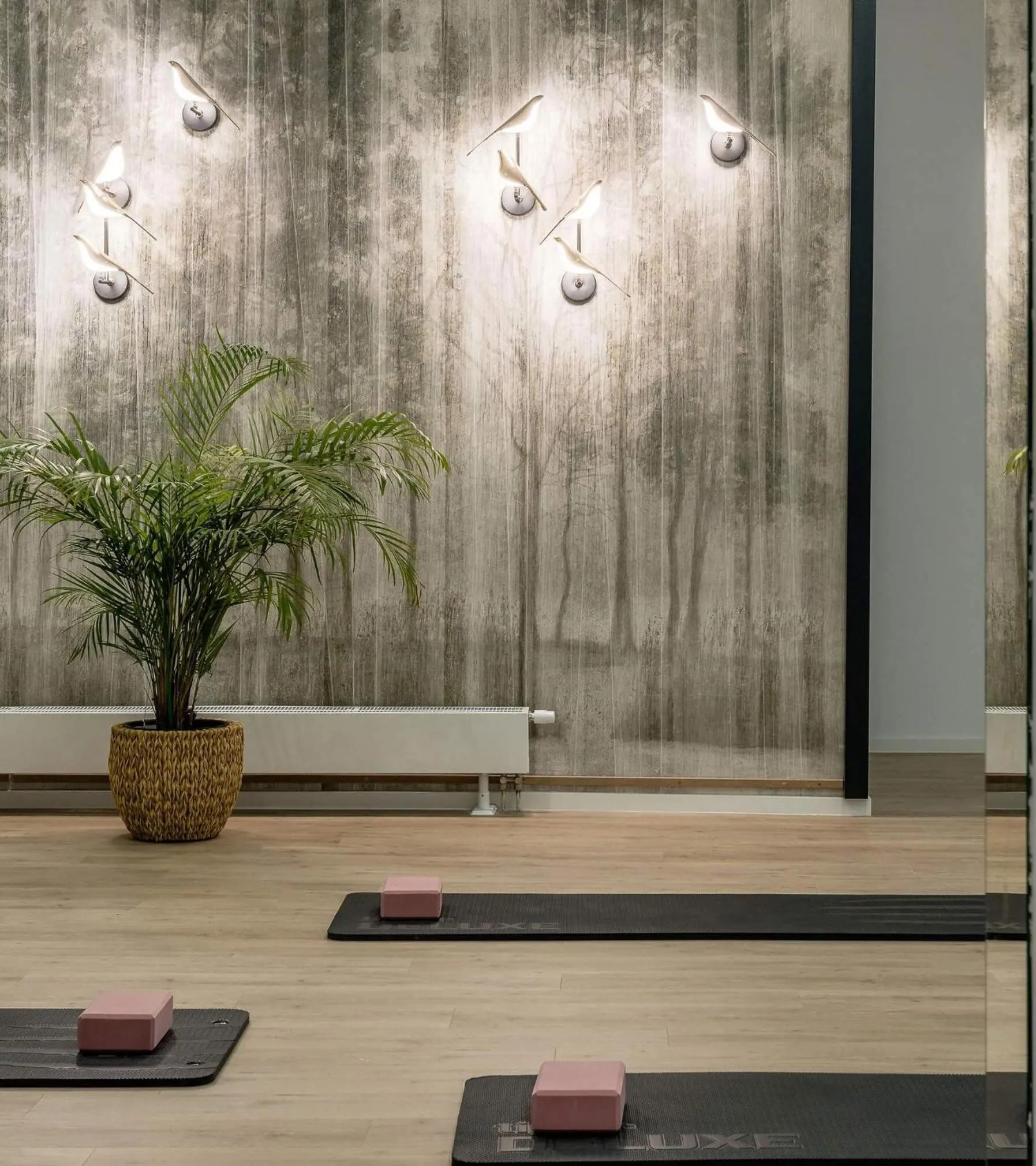 Fitness centre/facilities in Hotel Astor