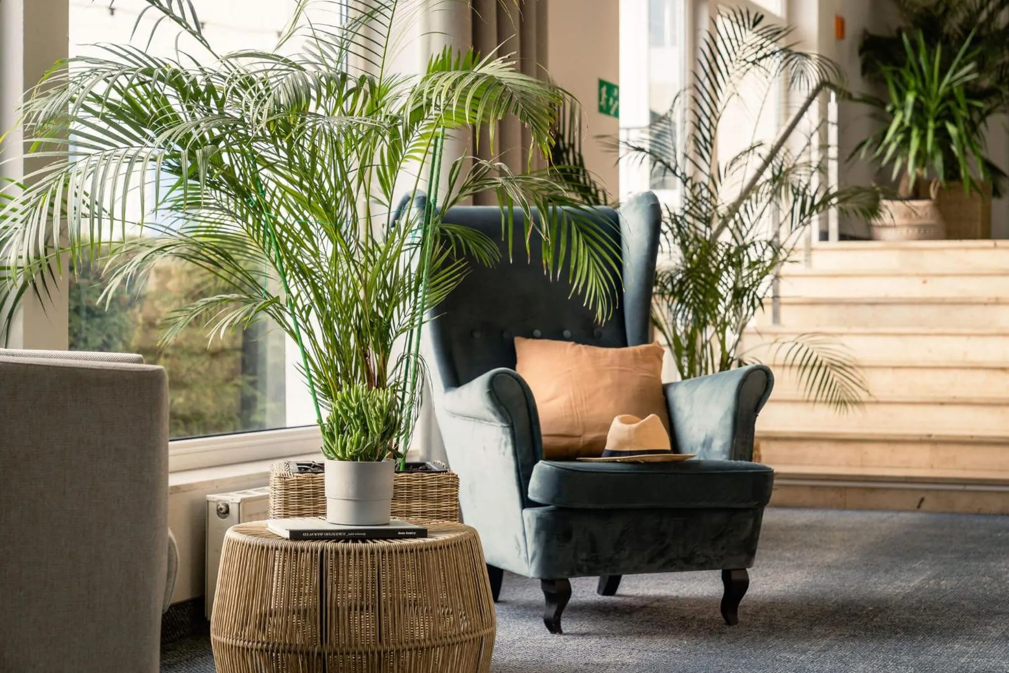 Lobby or reception in Hotel Astor