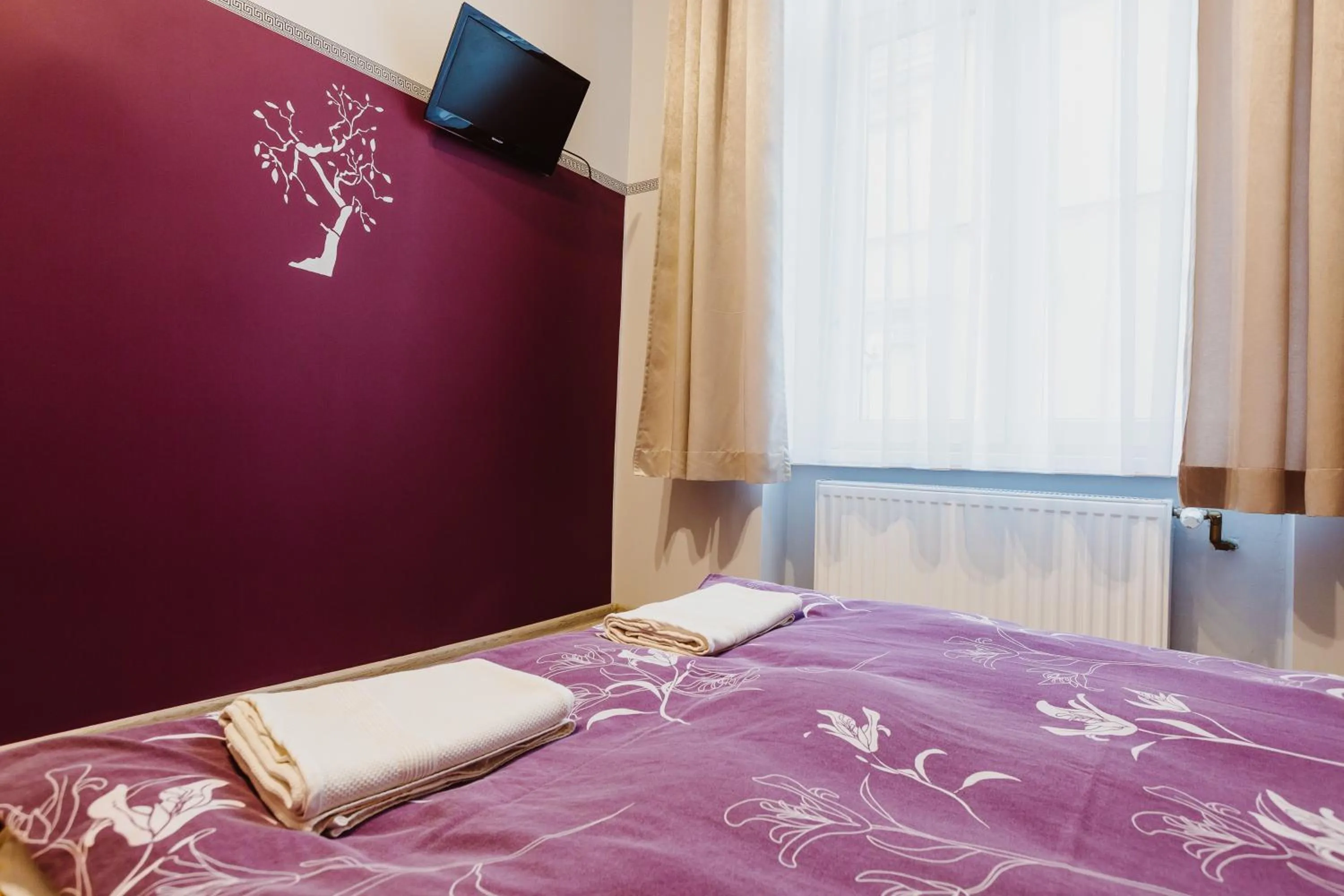 Double Room in Hostel Tara