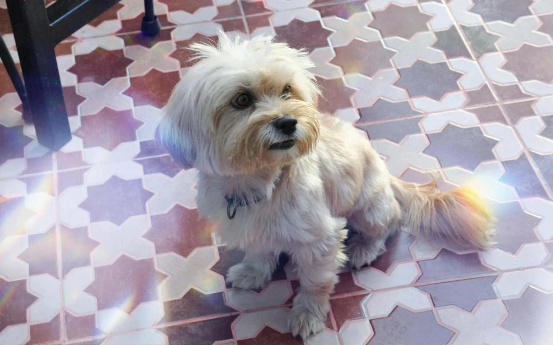 Other in BLUE WAVE LODGE