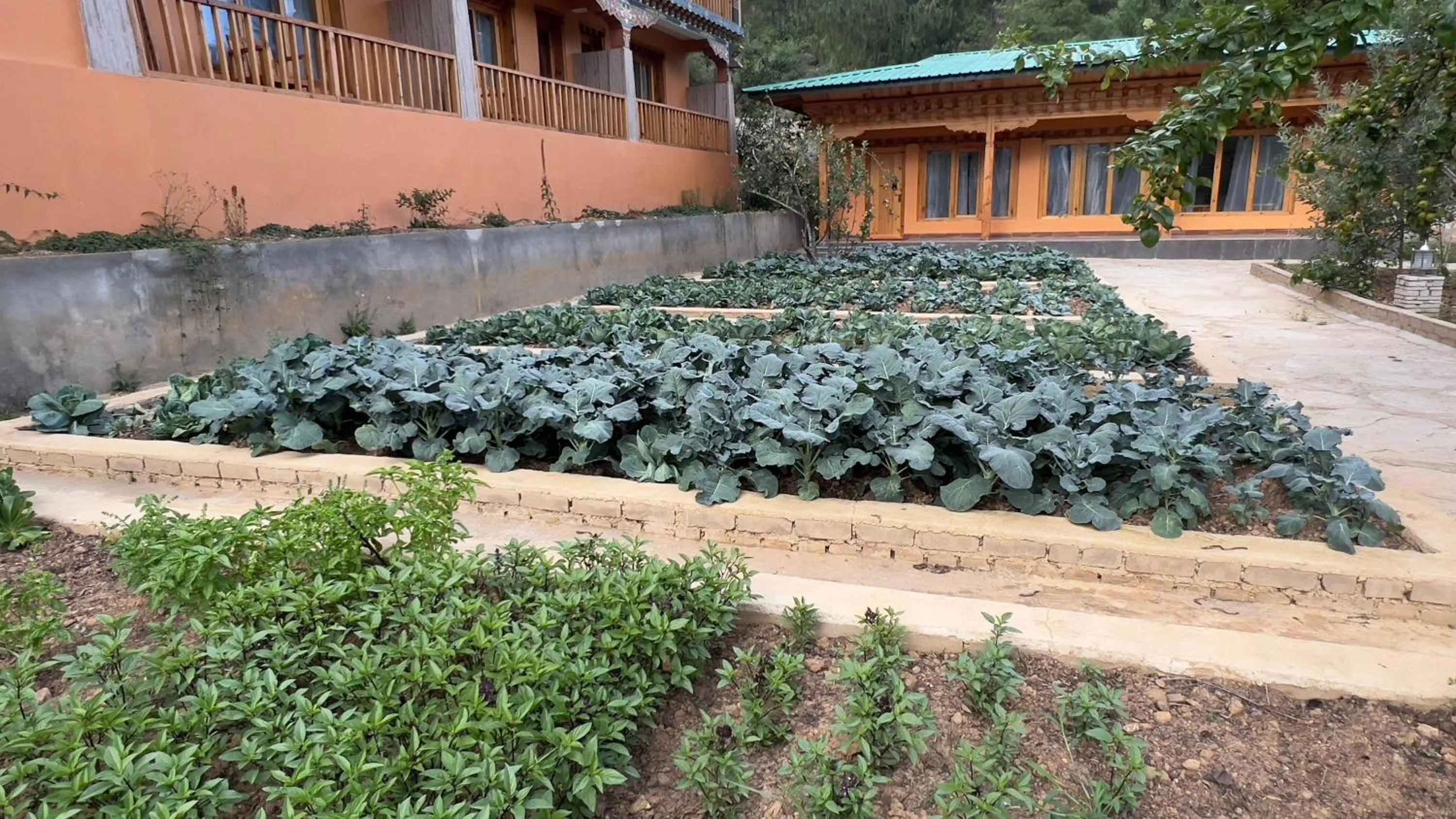 Property building in Rema Resort