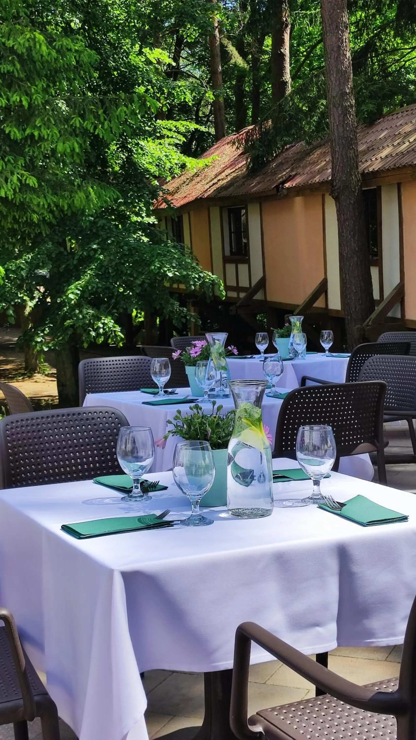 Restaurant/places to eat in Hotel Anders