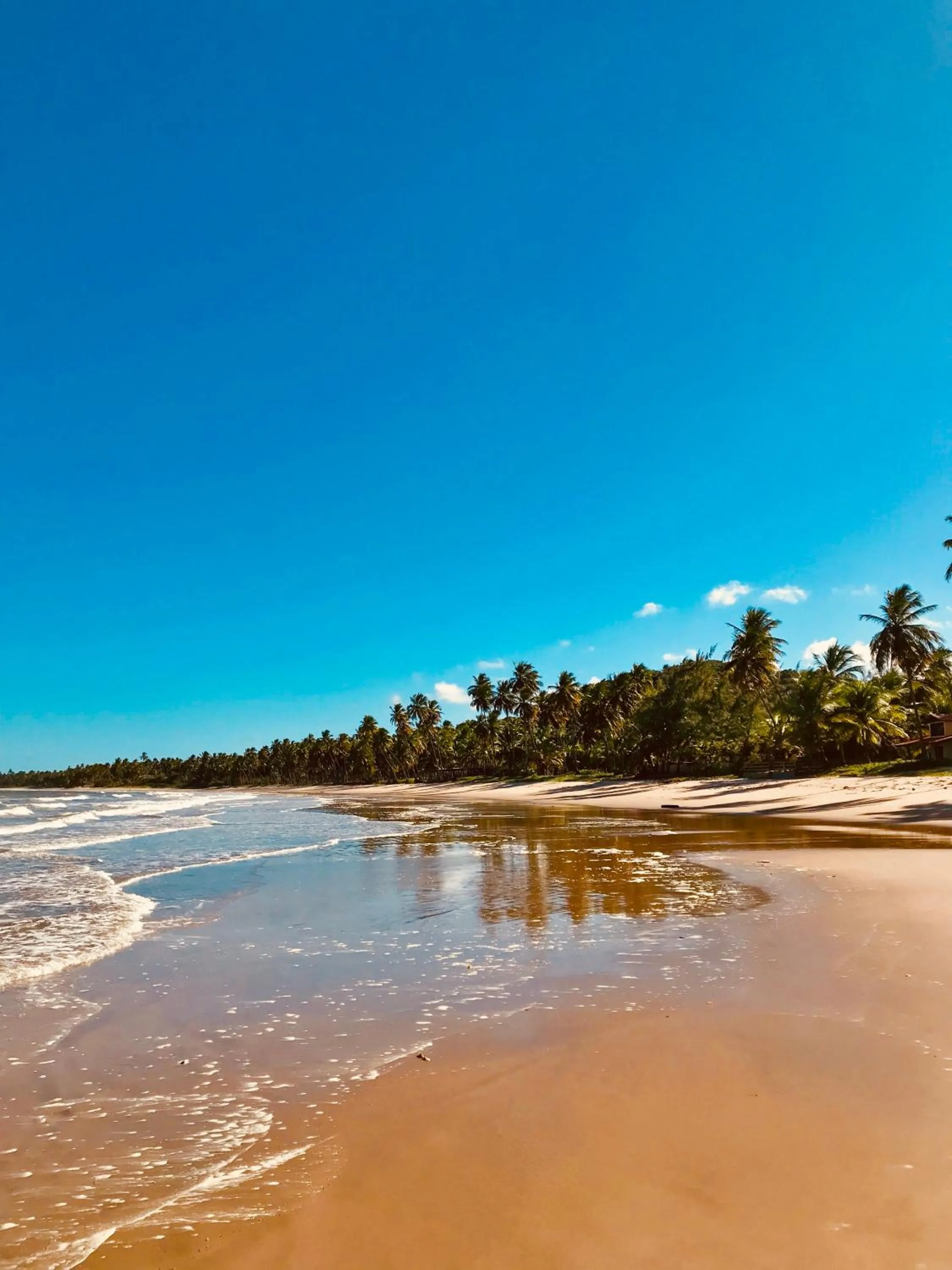 Natural landscape in Pousada Yapara-Tyba