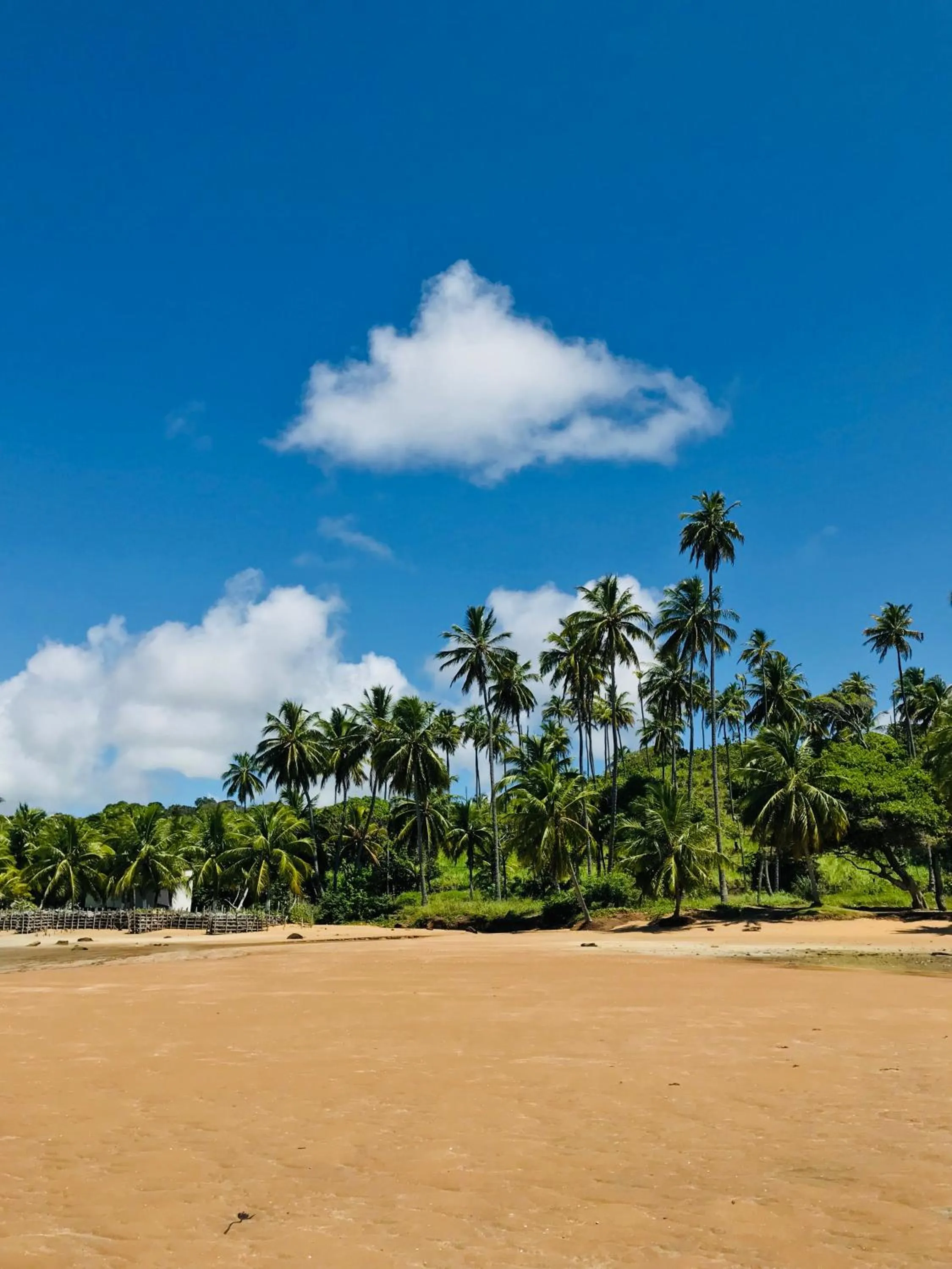 Natural landscape in Pousada Yapara-Tyba