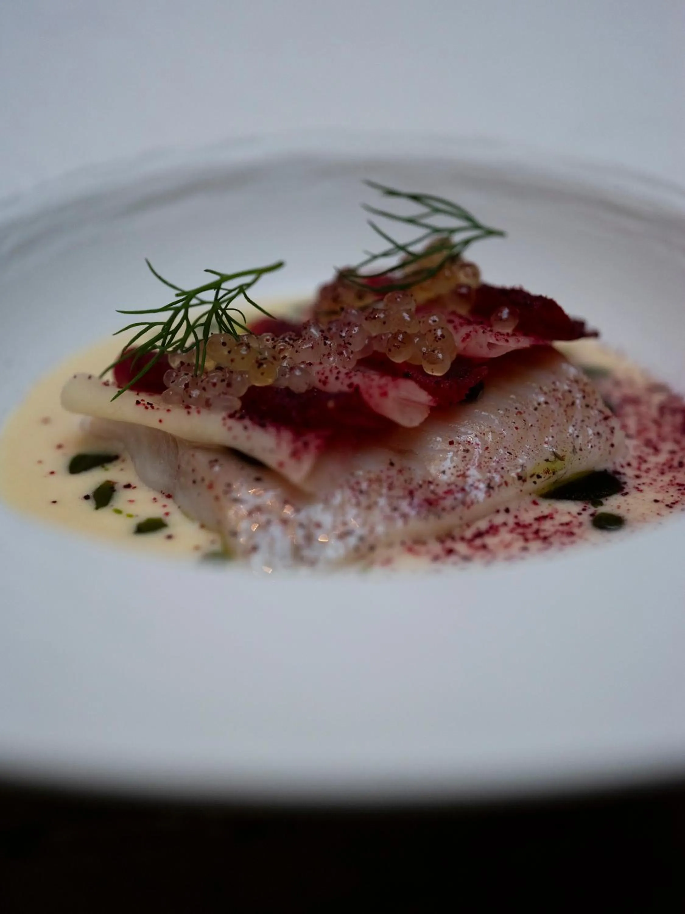 Restaurant/places to eat in Hotel Copernicus