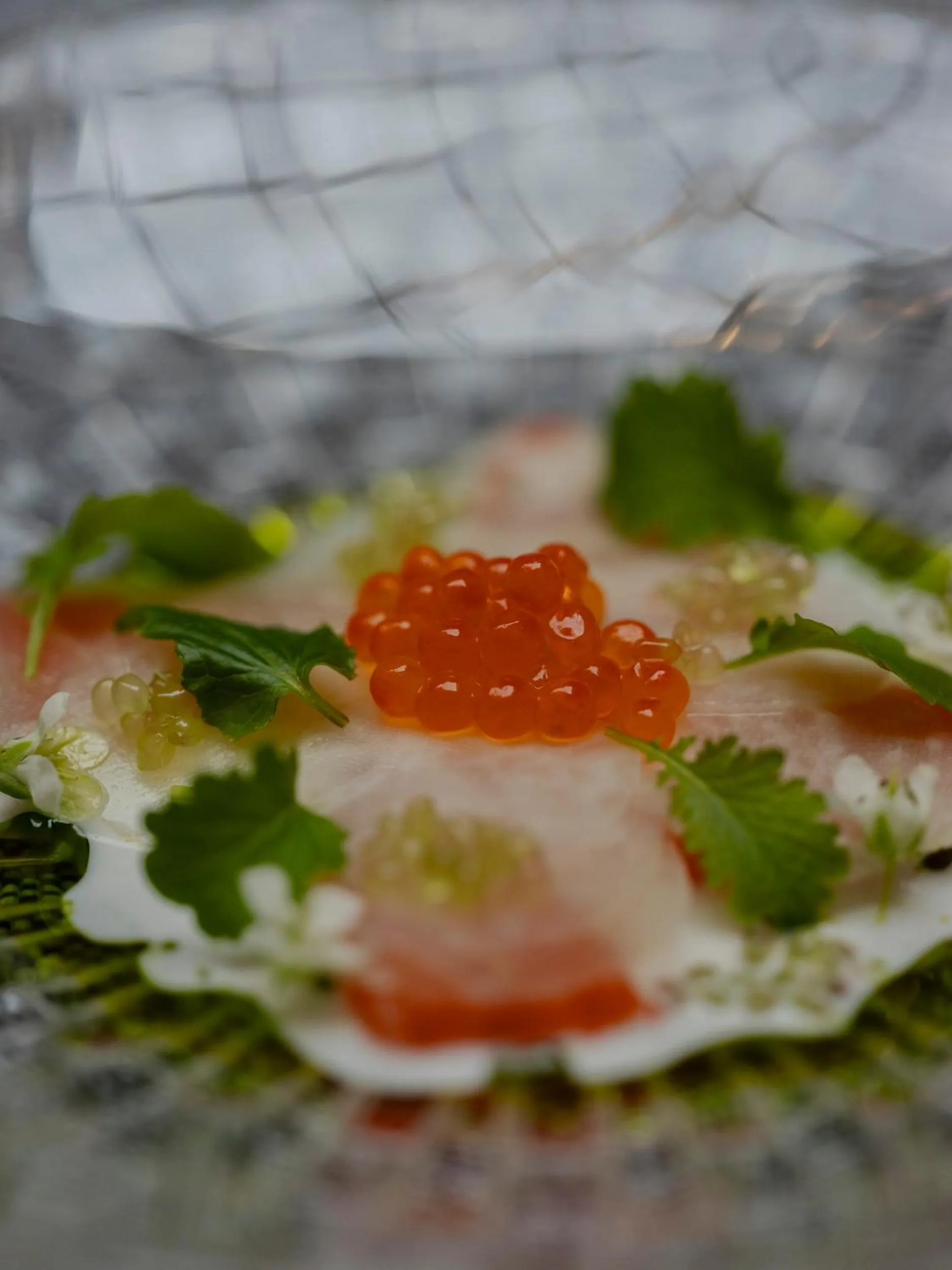 Restaurant/places to eat in Hotel Copernicus