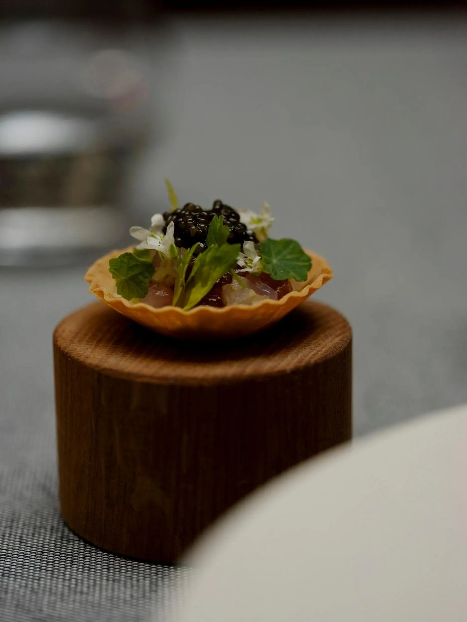 Restaurant/places to eat in Hotel Copernicus