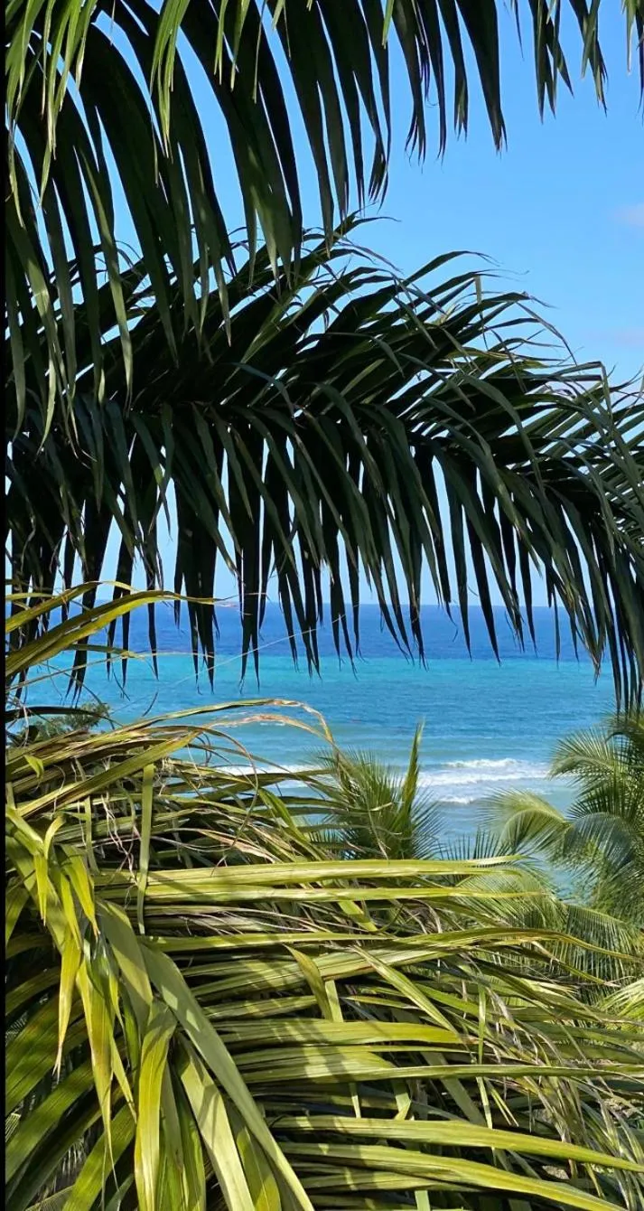 Spring Garden Mobay Resort