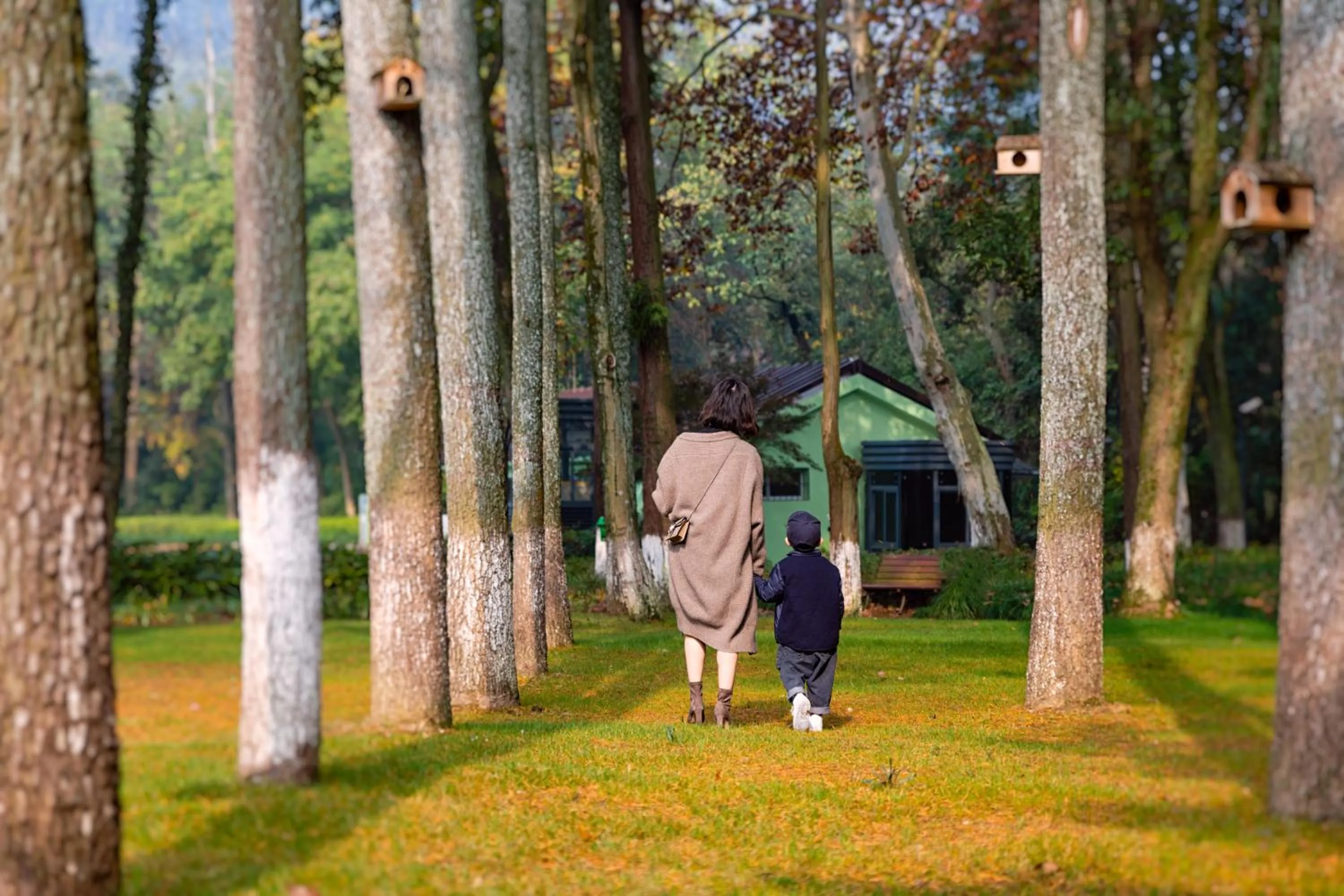 Natural landscape in Millennium Resort Hangzhou