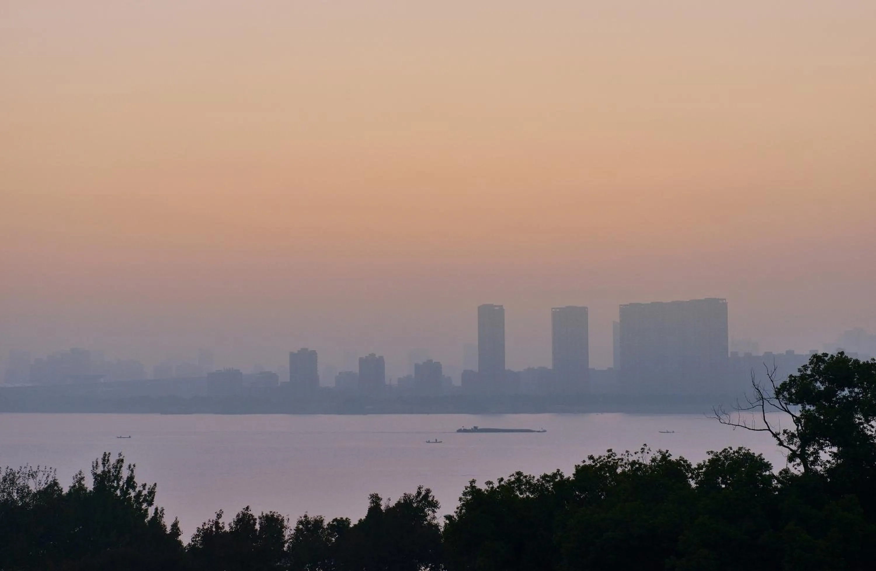 View (from property/room) in Millennium Resort Hangzhou