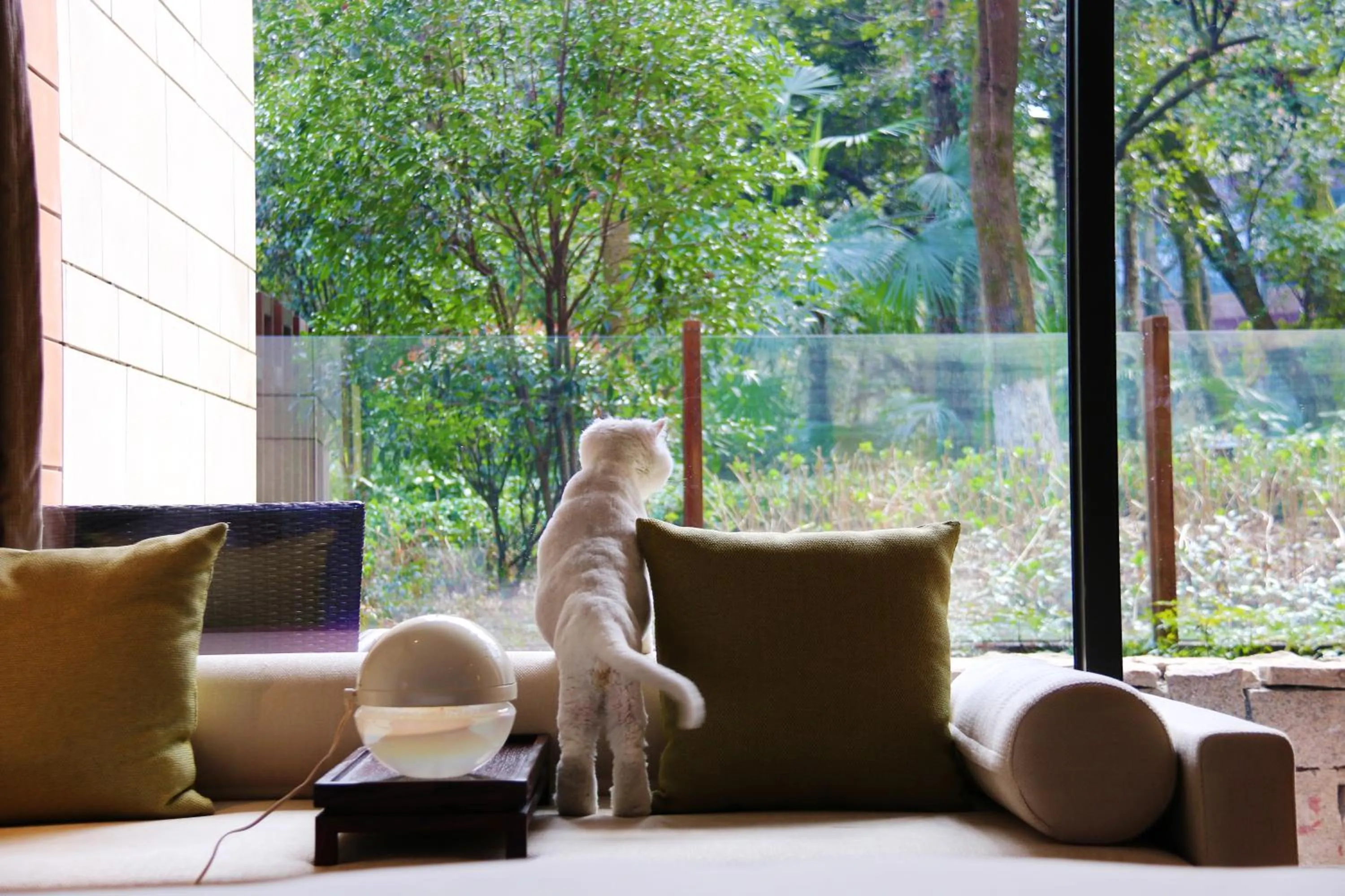 Animals in Millennium Resort Hangzhou