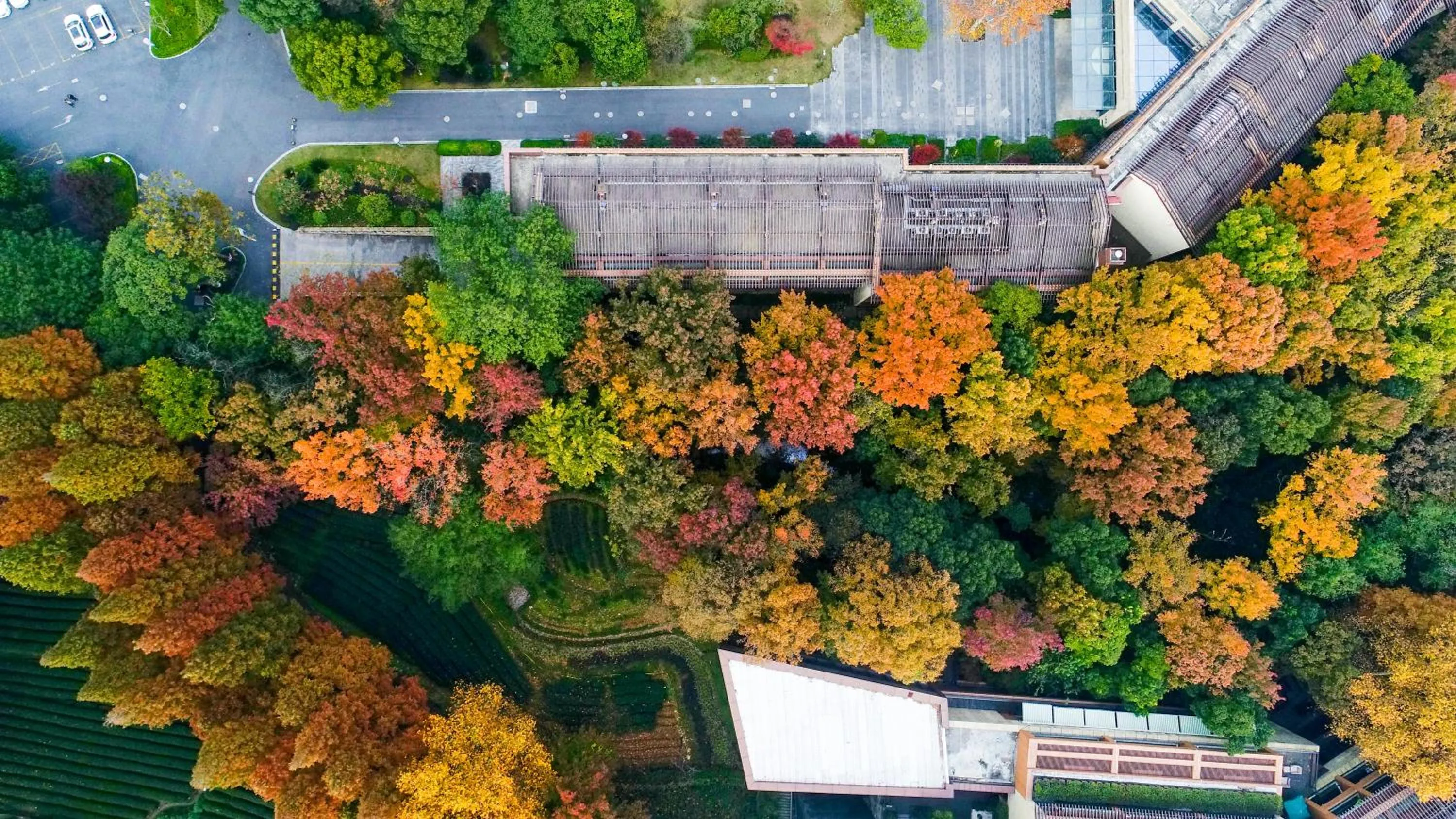 Bird's eye view in Millennium Resort Hangzhou