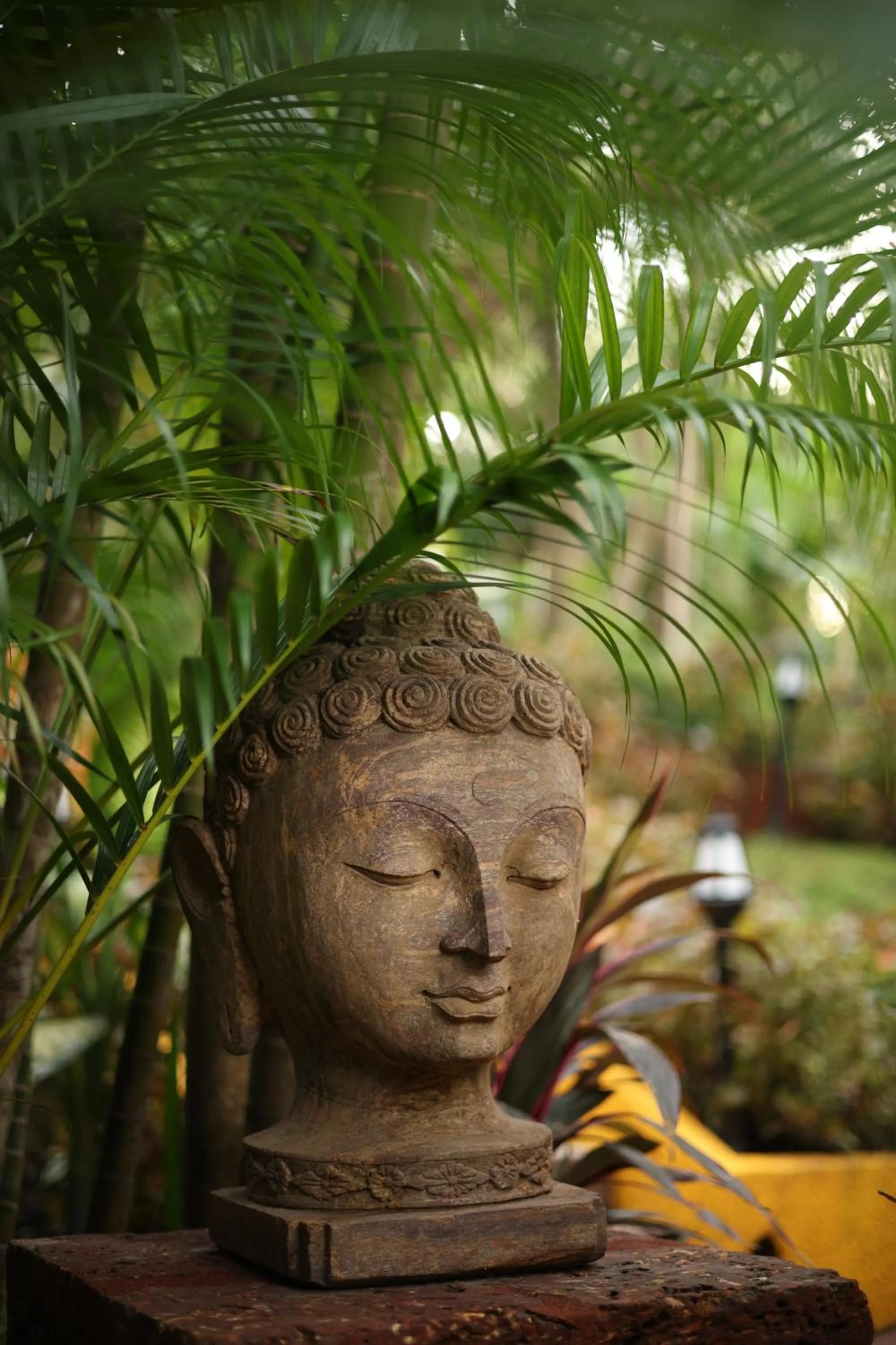 Garden in Storii By ITC Hotels, Shanti Morada Goa