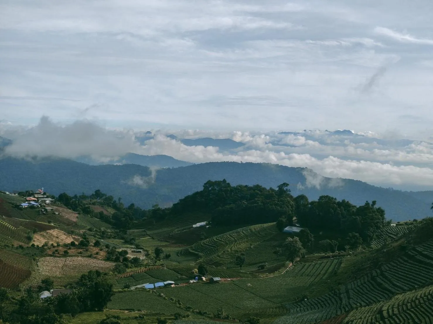 Natural landscape in ม่อนชาพาเพลิน ม่อนแจ่ม Monchapaplearn Monjam