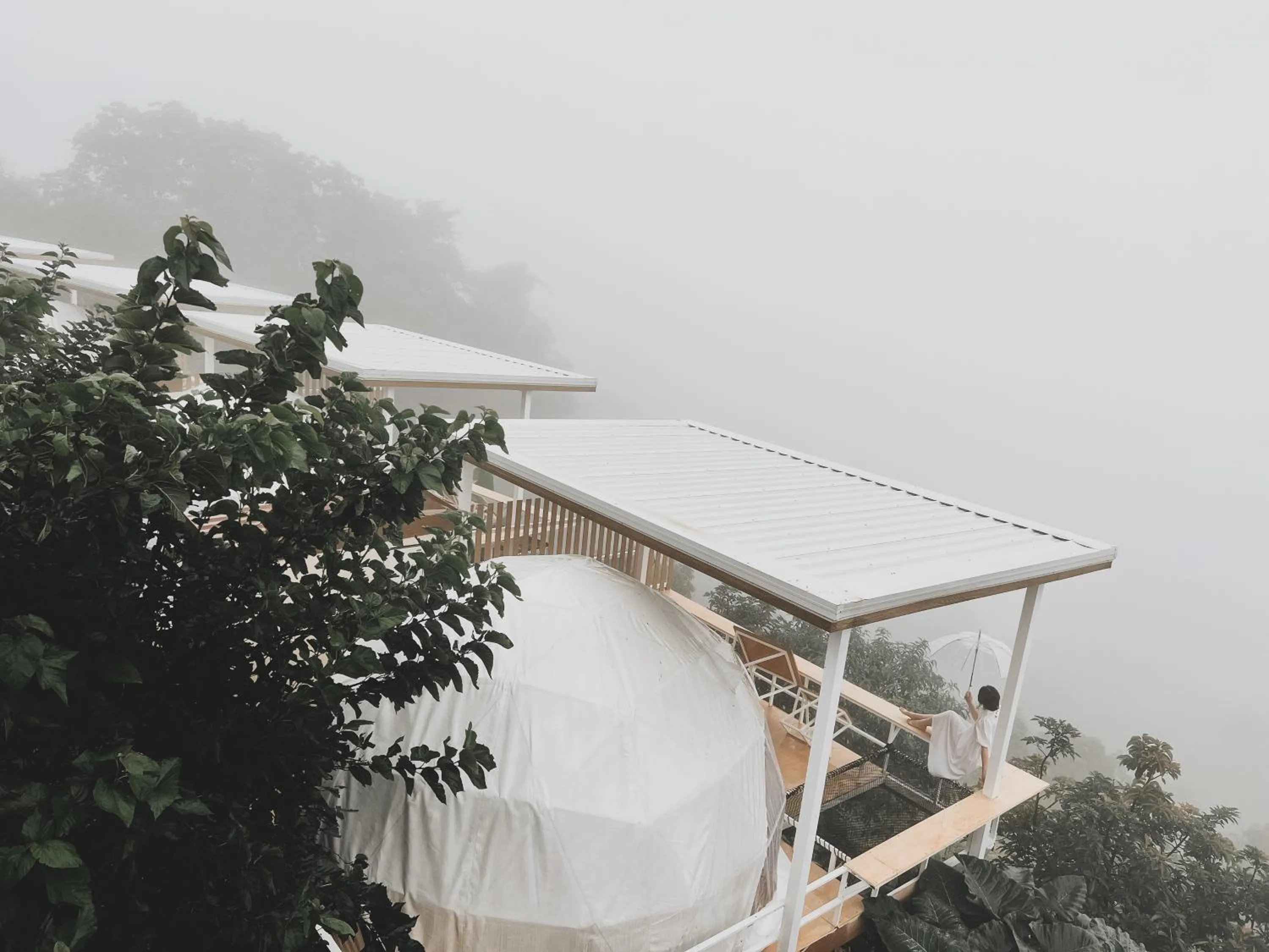 Natural landscape in ม่อนชาพาเพลิน ม่อนแจ่ม Monchapaplearn Monjam