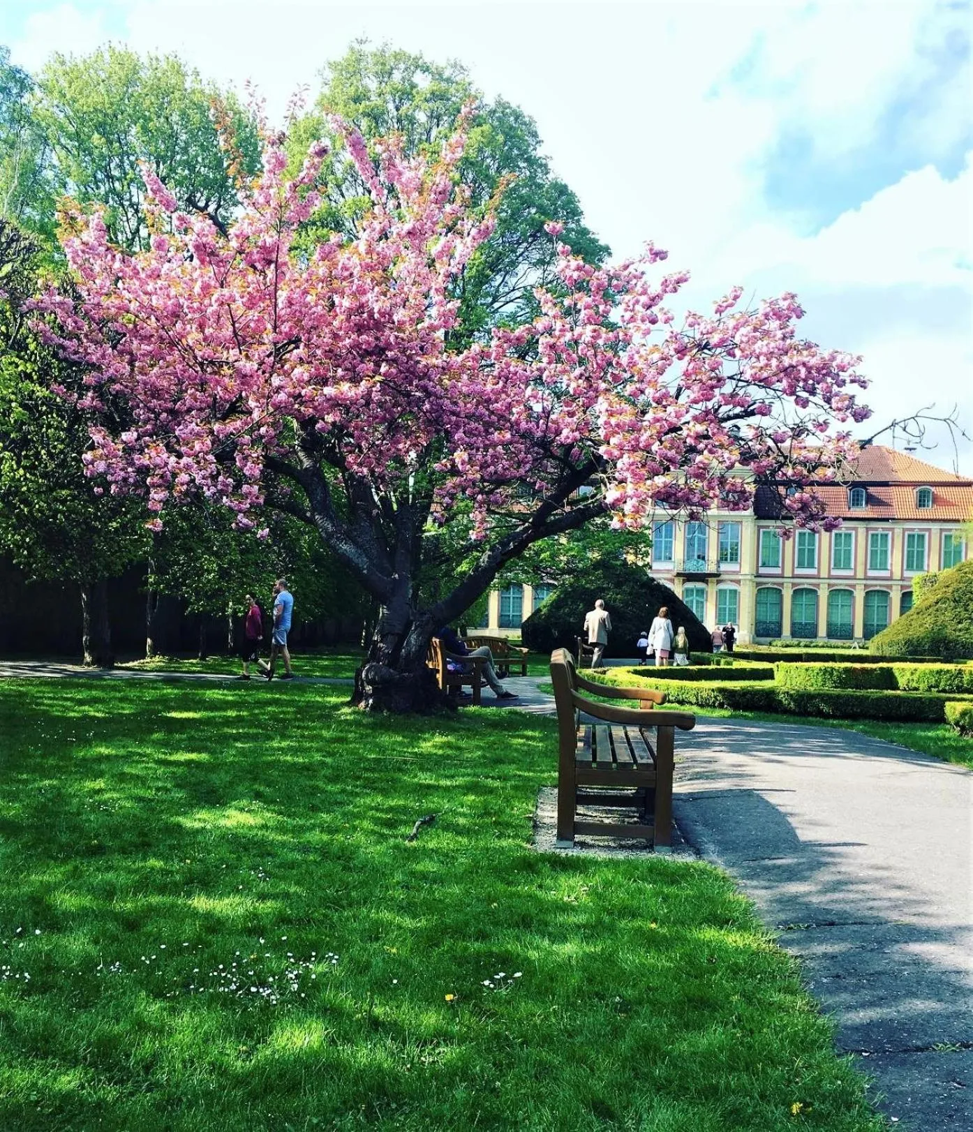 Off site in Oliwa Park Residence