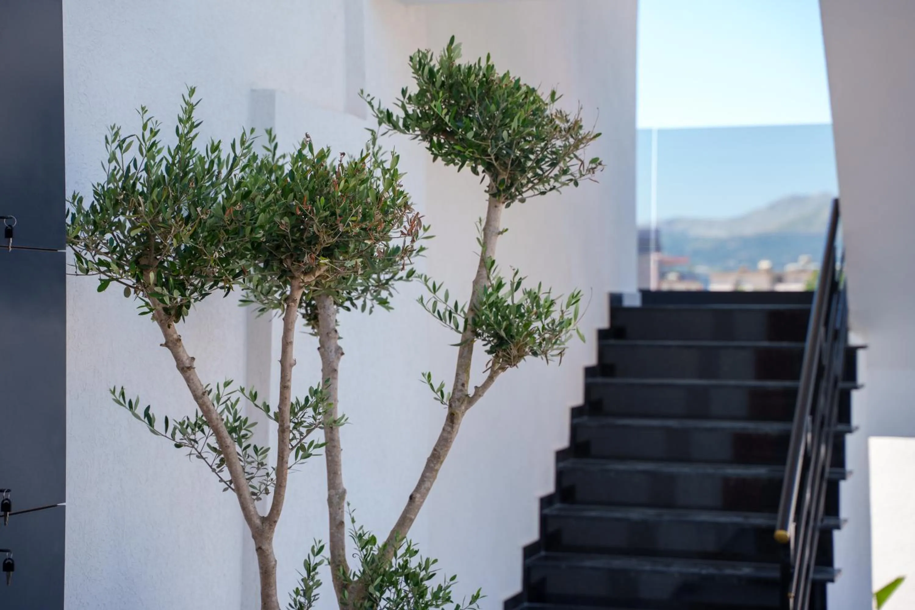 Day in Belmond Hotel