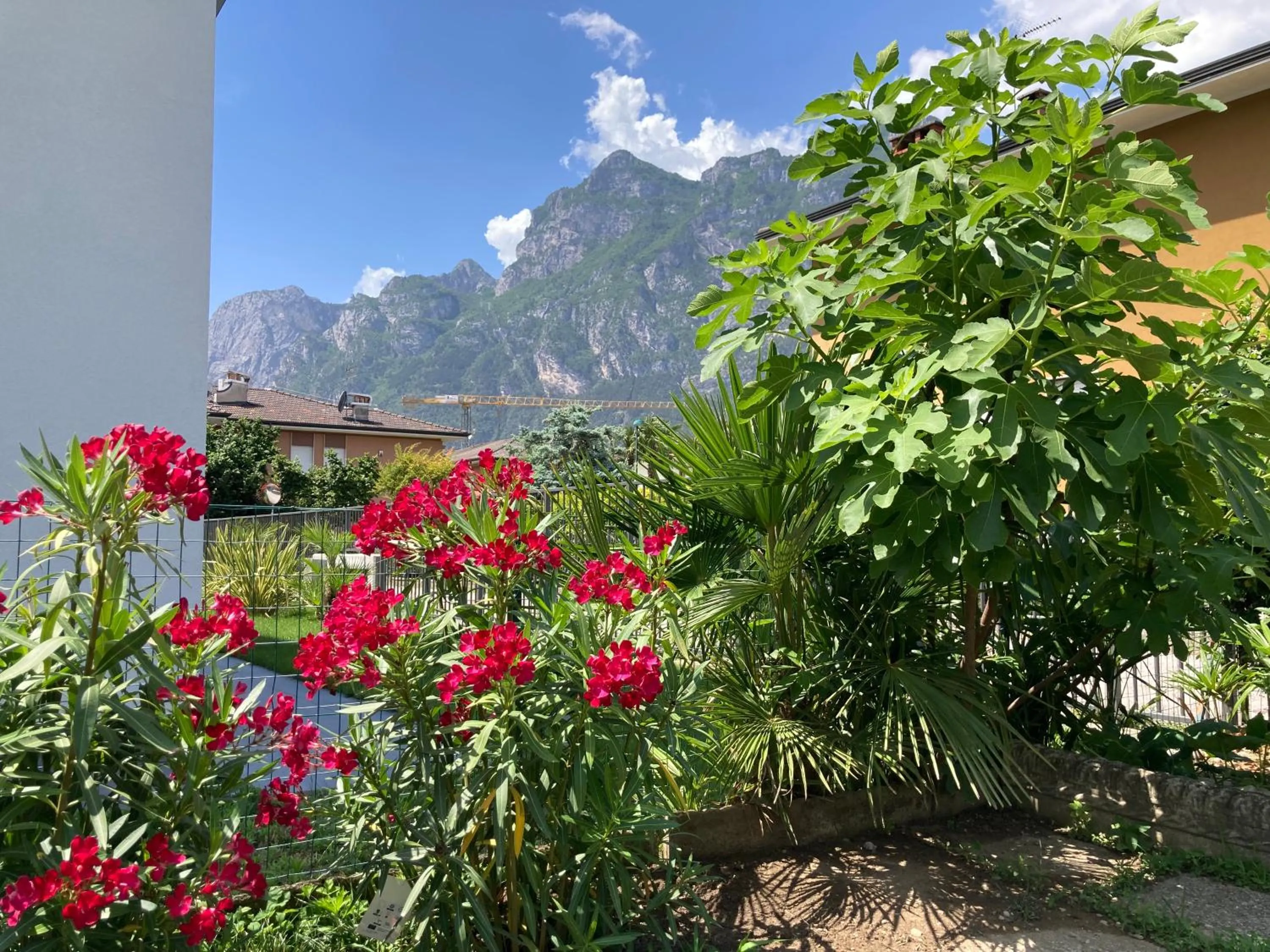 Garden in Outdooredo Garda Apartment