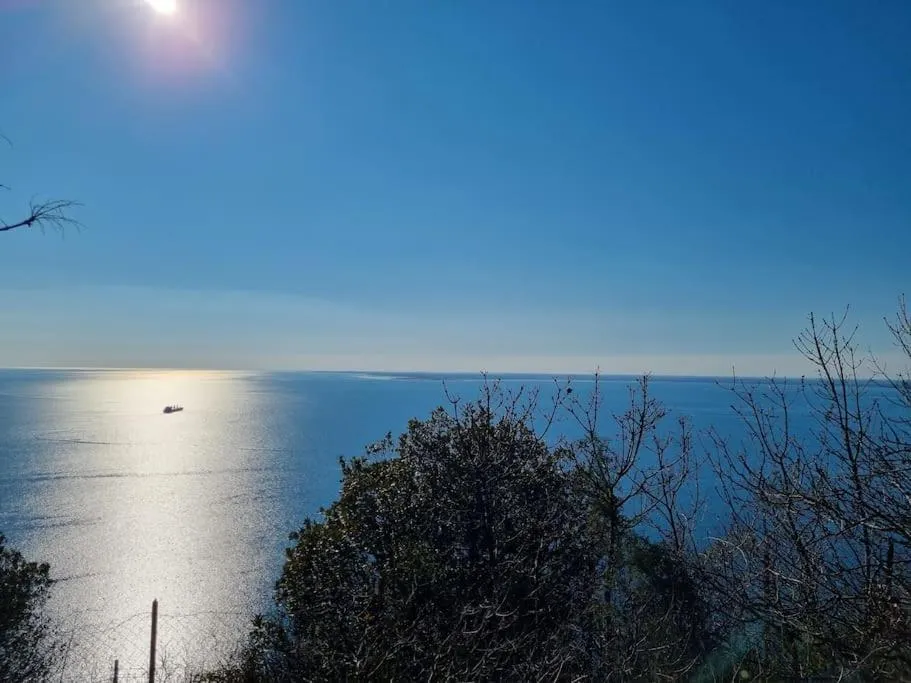 Natural landscape in Residence Montanelli