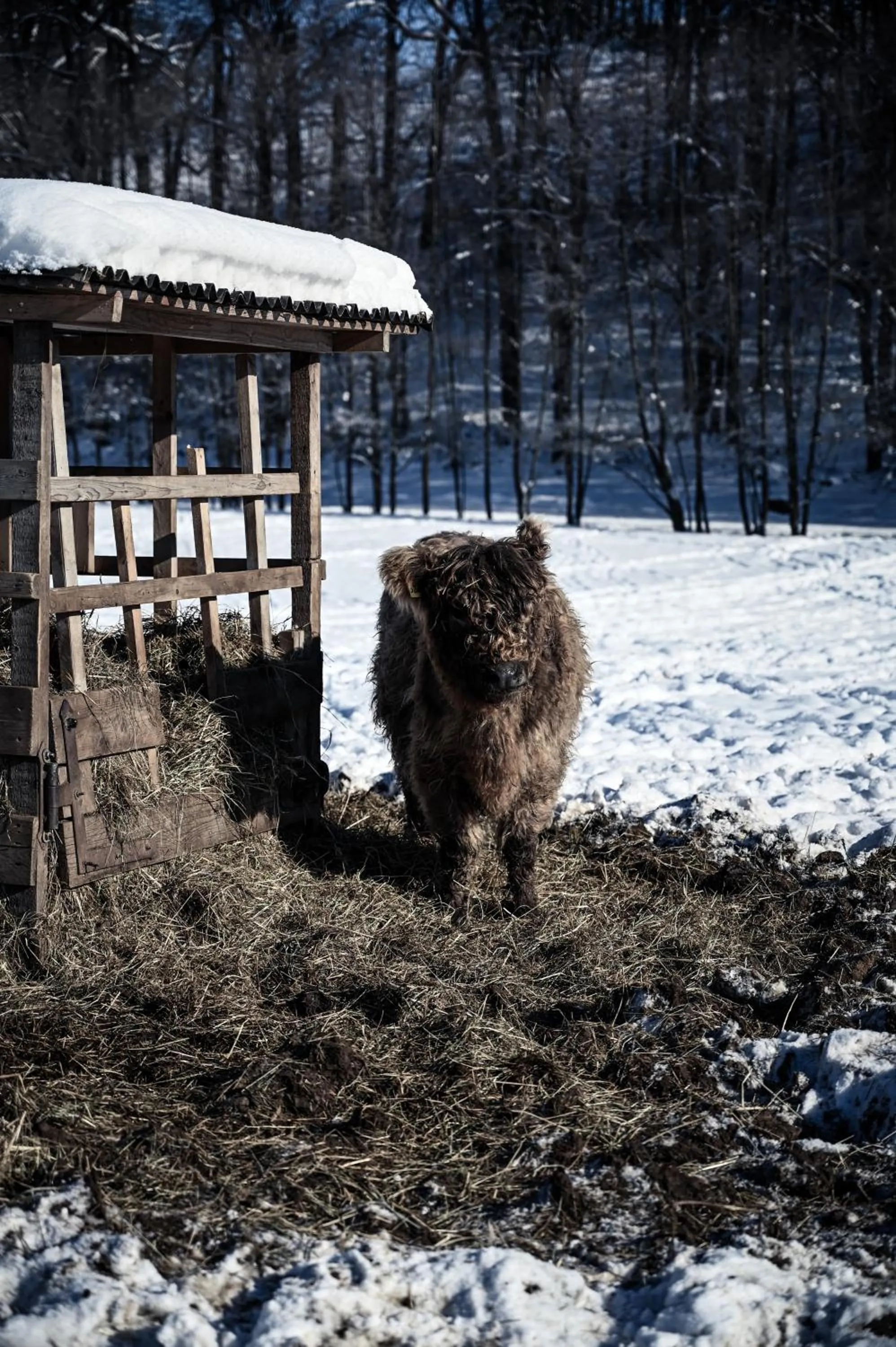 Sommers Hotel Altes Posteck