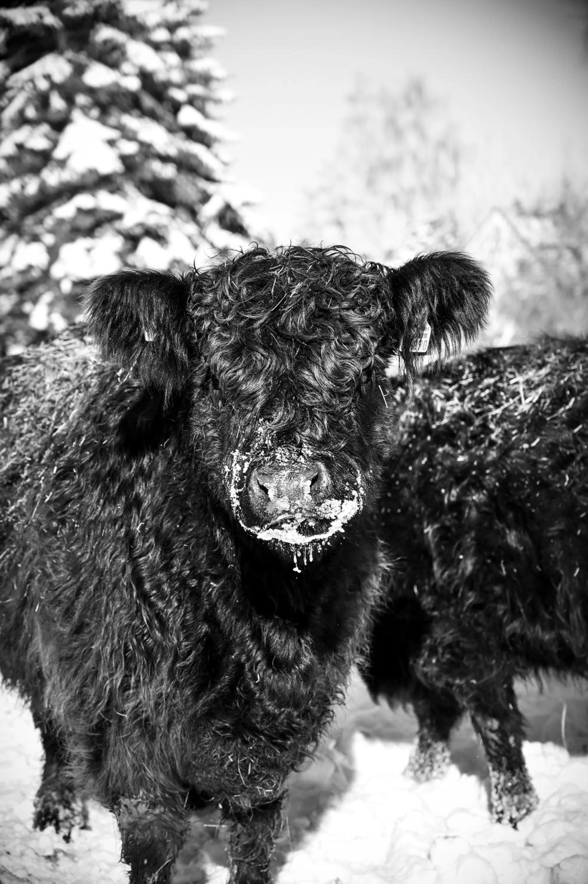 Sommers Hotel Altes Posteck