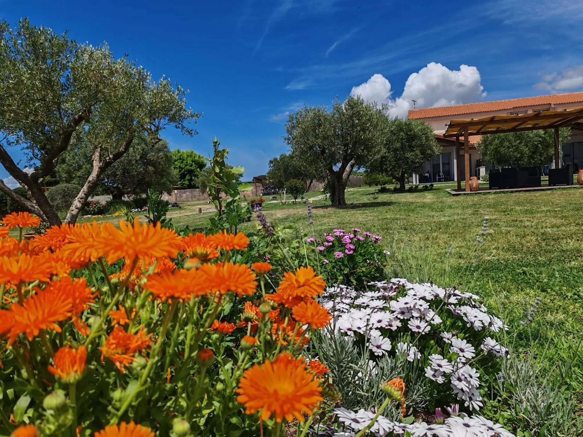 Garden in Residence la Pace - Pool & Relax
