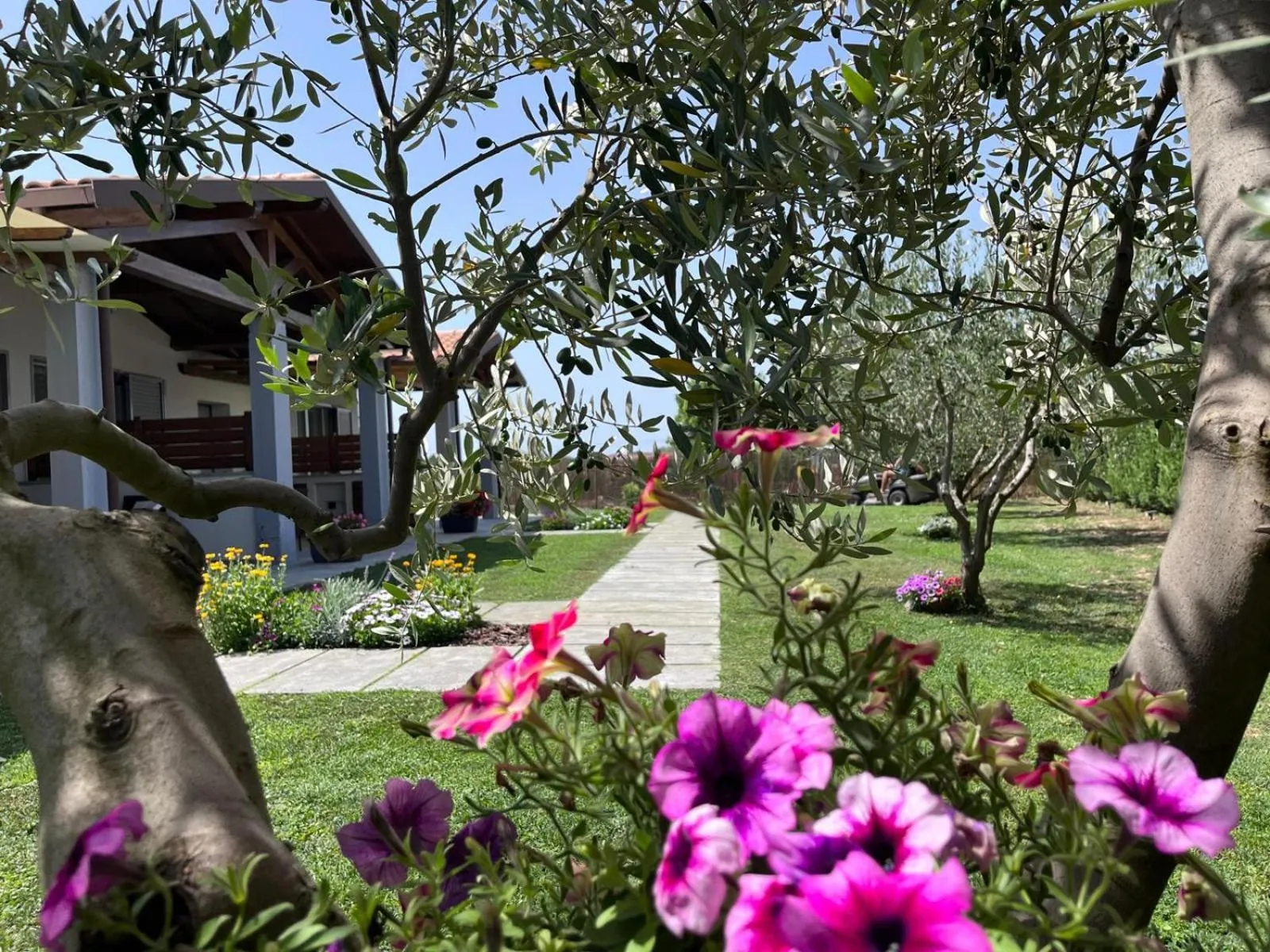 Spring in Residence la Pace - Pool & Relax