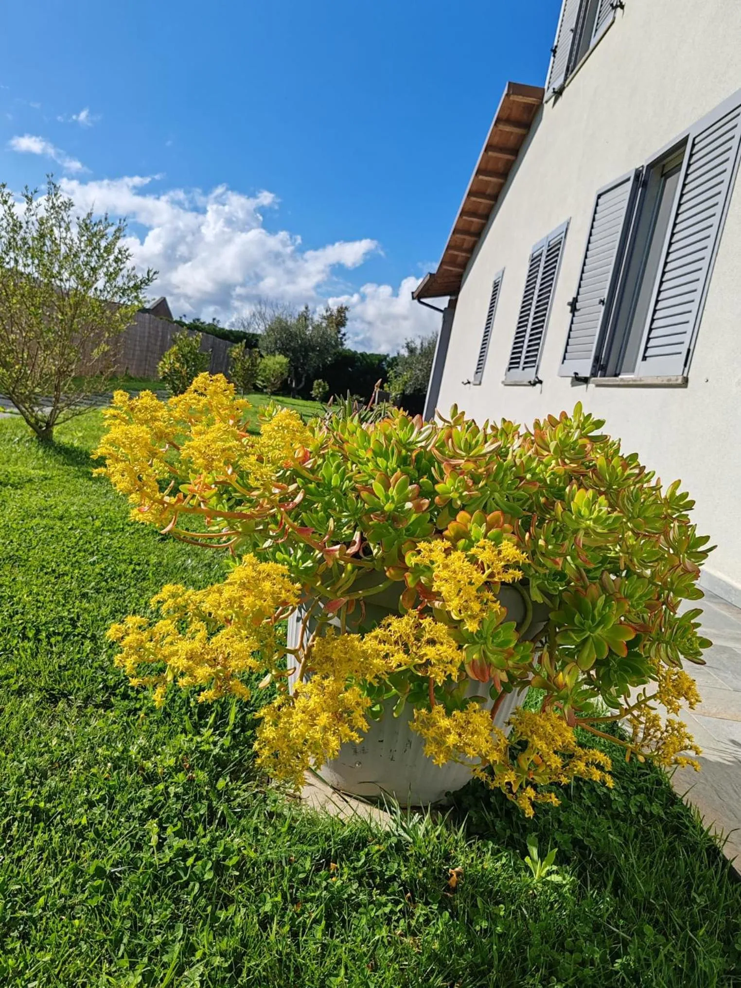 Garden in Residence la Pace - Pool & Relax