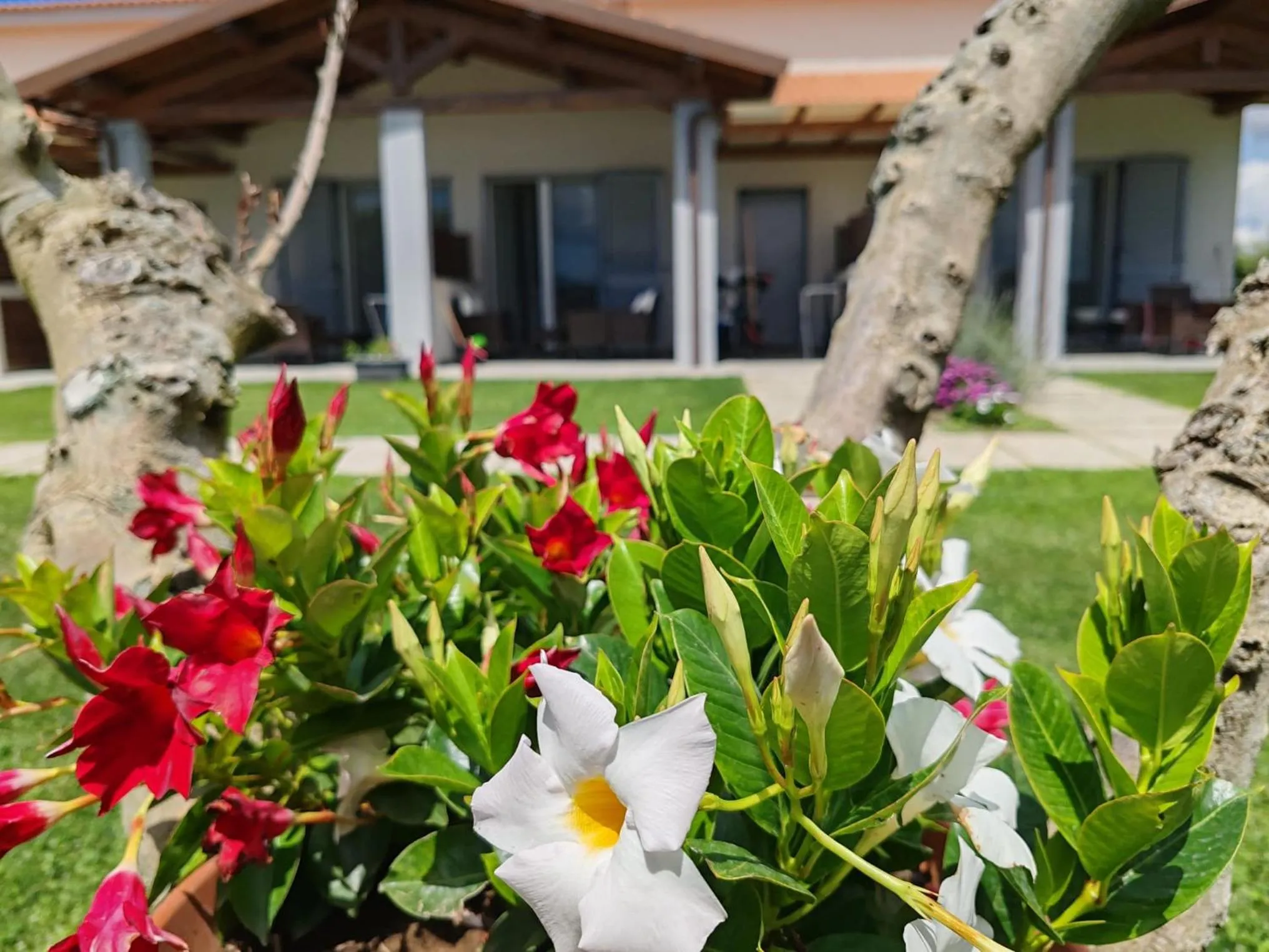 Garden in Residence la Pace - Pool & Relax