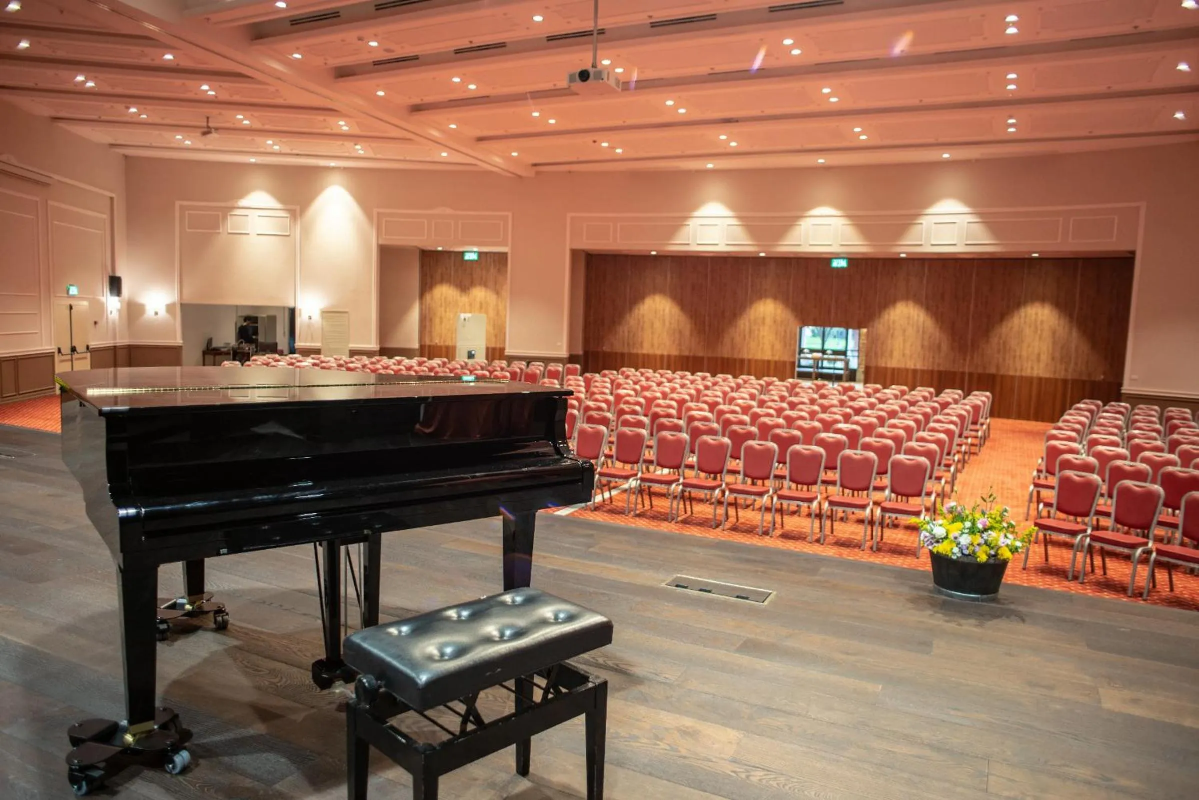 Evening entertainment in Pastoral Hotel - Kfar Blum