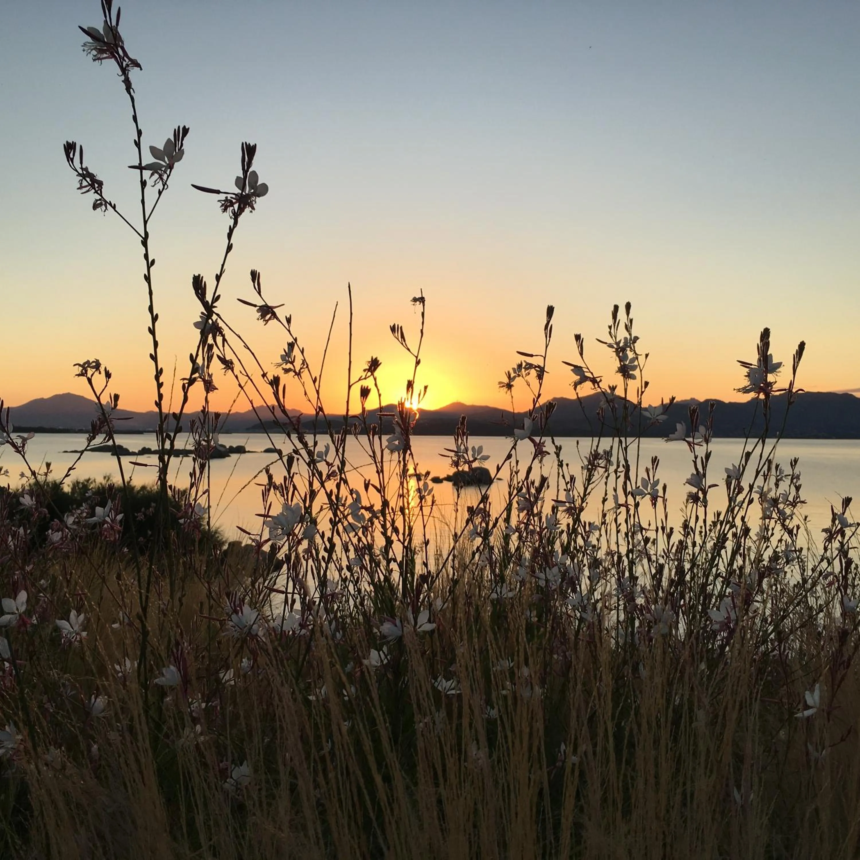 Natural landscape in Cala Cuncheddi - VRetreats