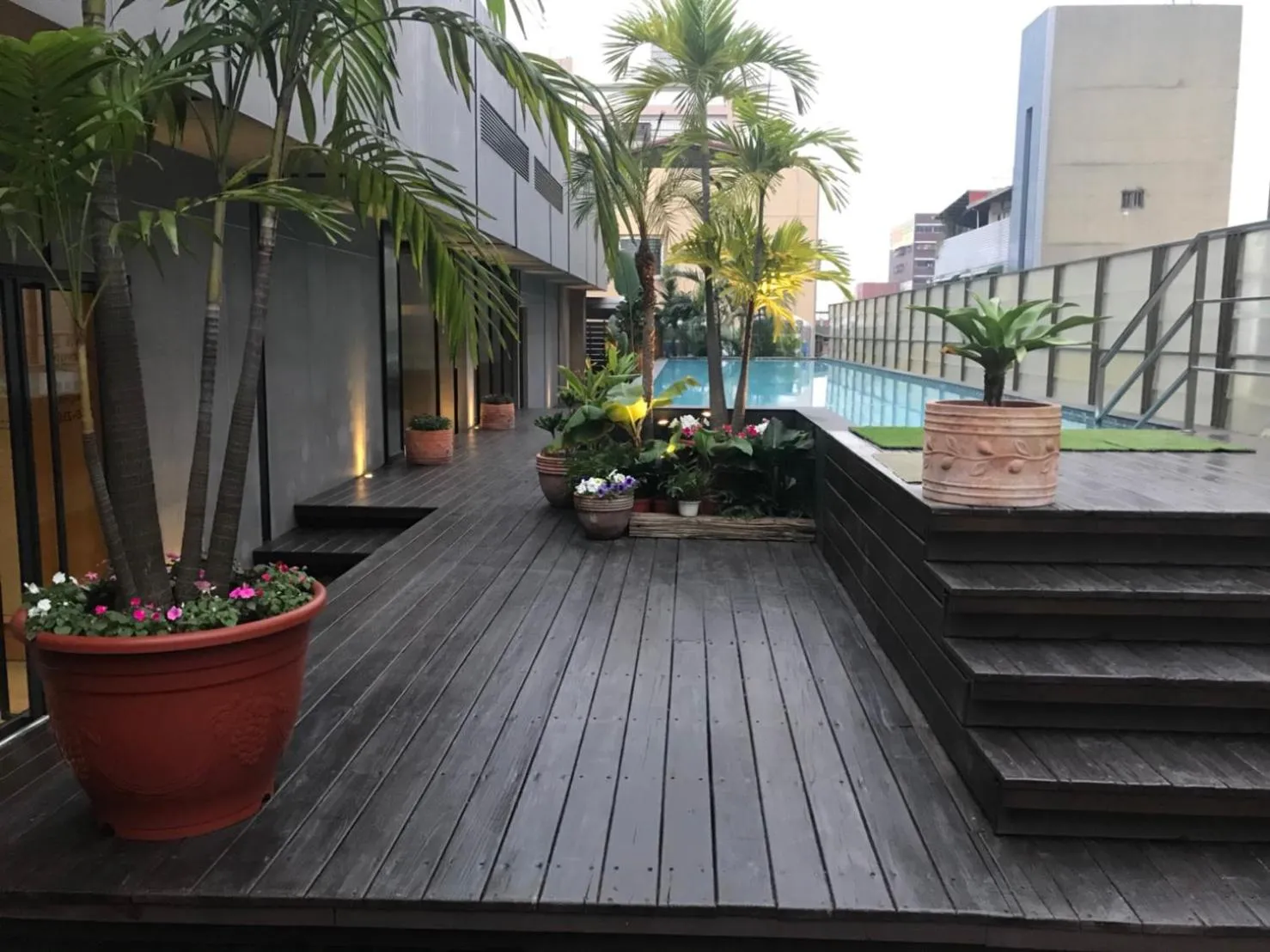 Swimming pool in The Tree House