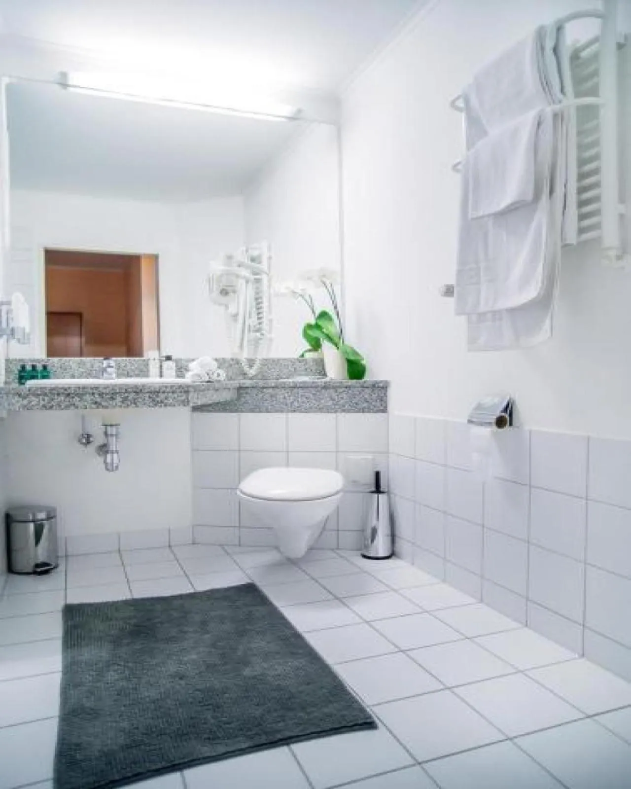 Toilet in Hotel Fenix