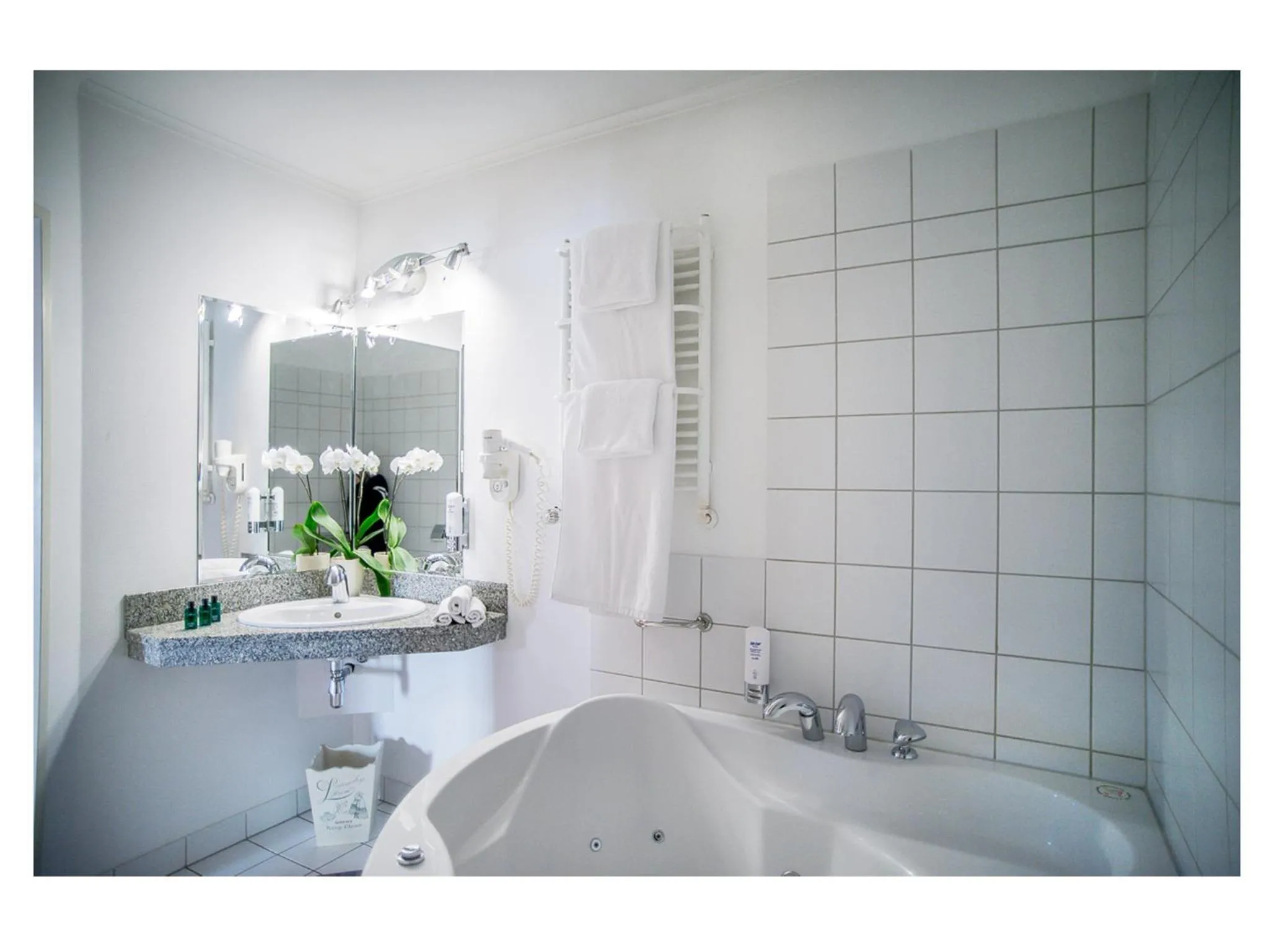 Bathroom in Hotel Fenix