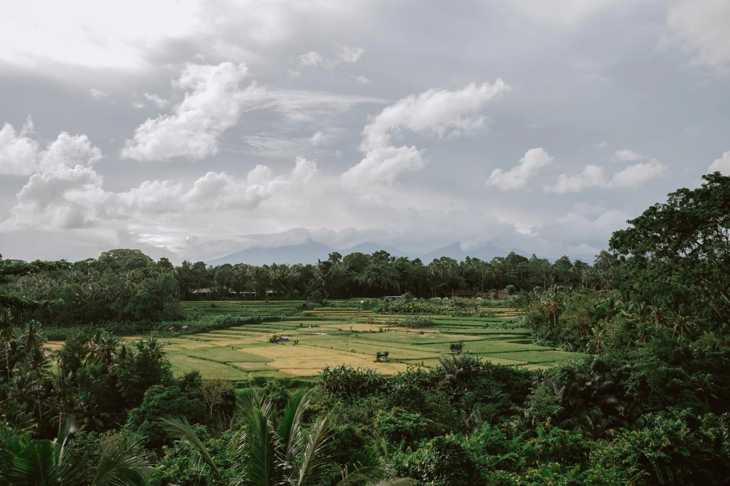 View (from property/room) in Uma Kalai