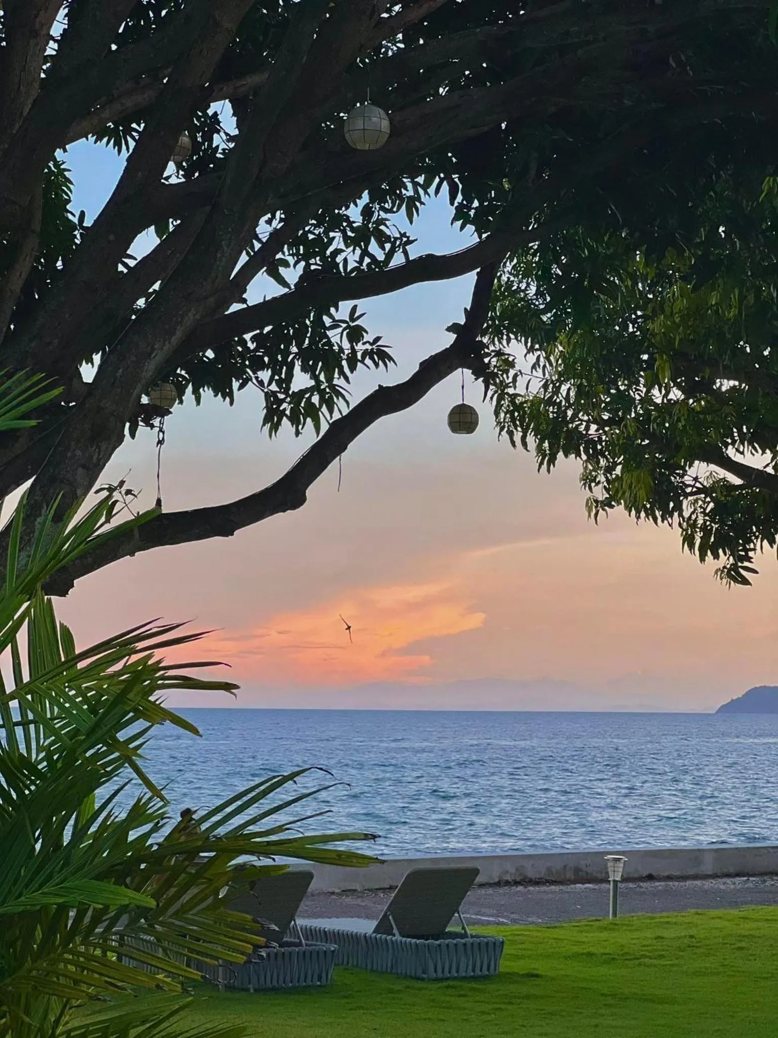 Natural landscape in Infinity Diving Resort and Residences