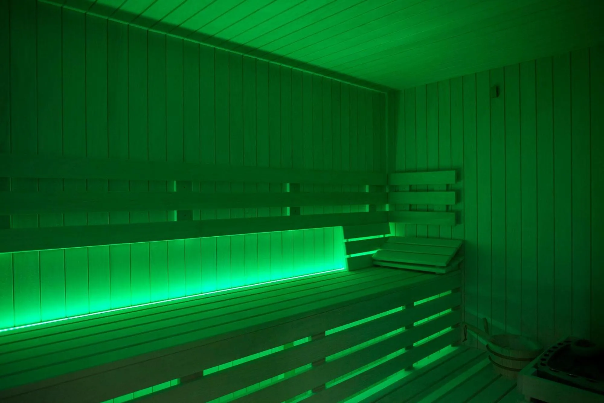 Sauna in Hotel Renusz