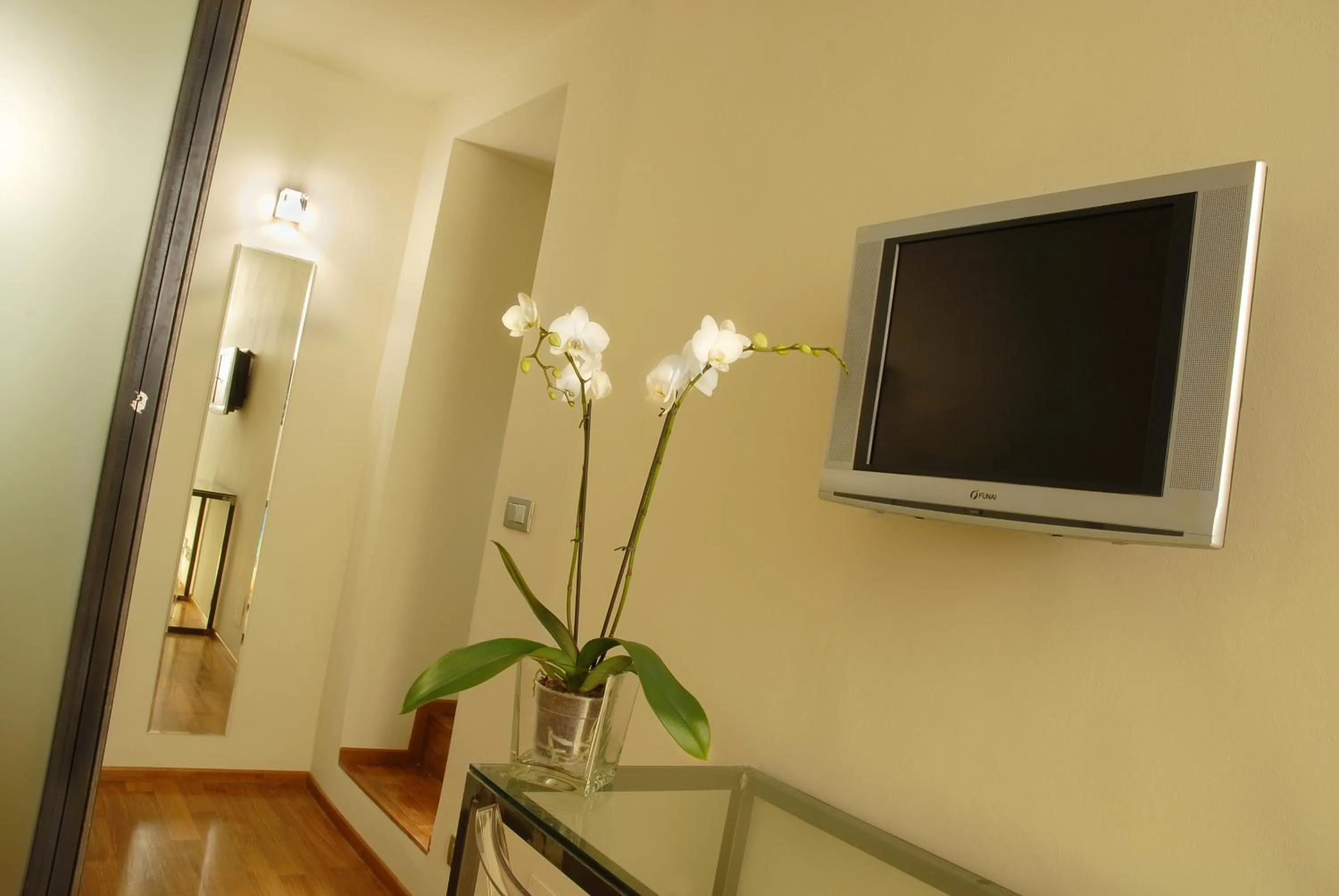 TV and multimedia in B&B Terres D'Aventure Suites