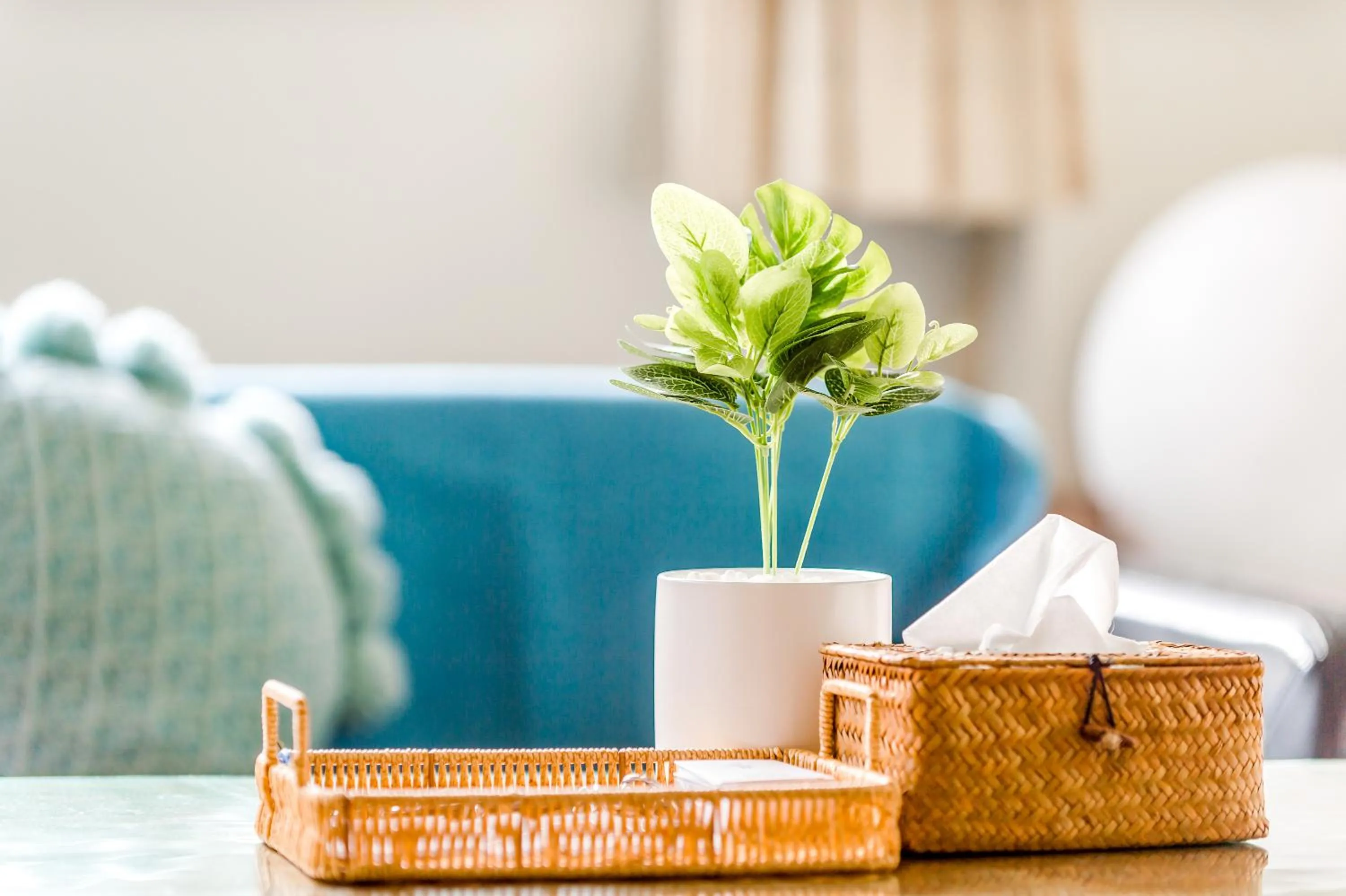 Living room in Travel Road WuWu