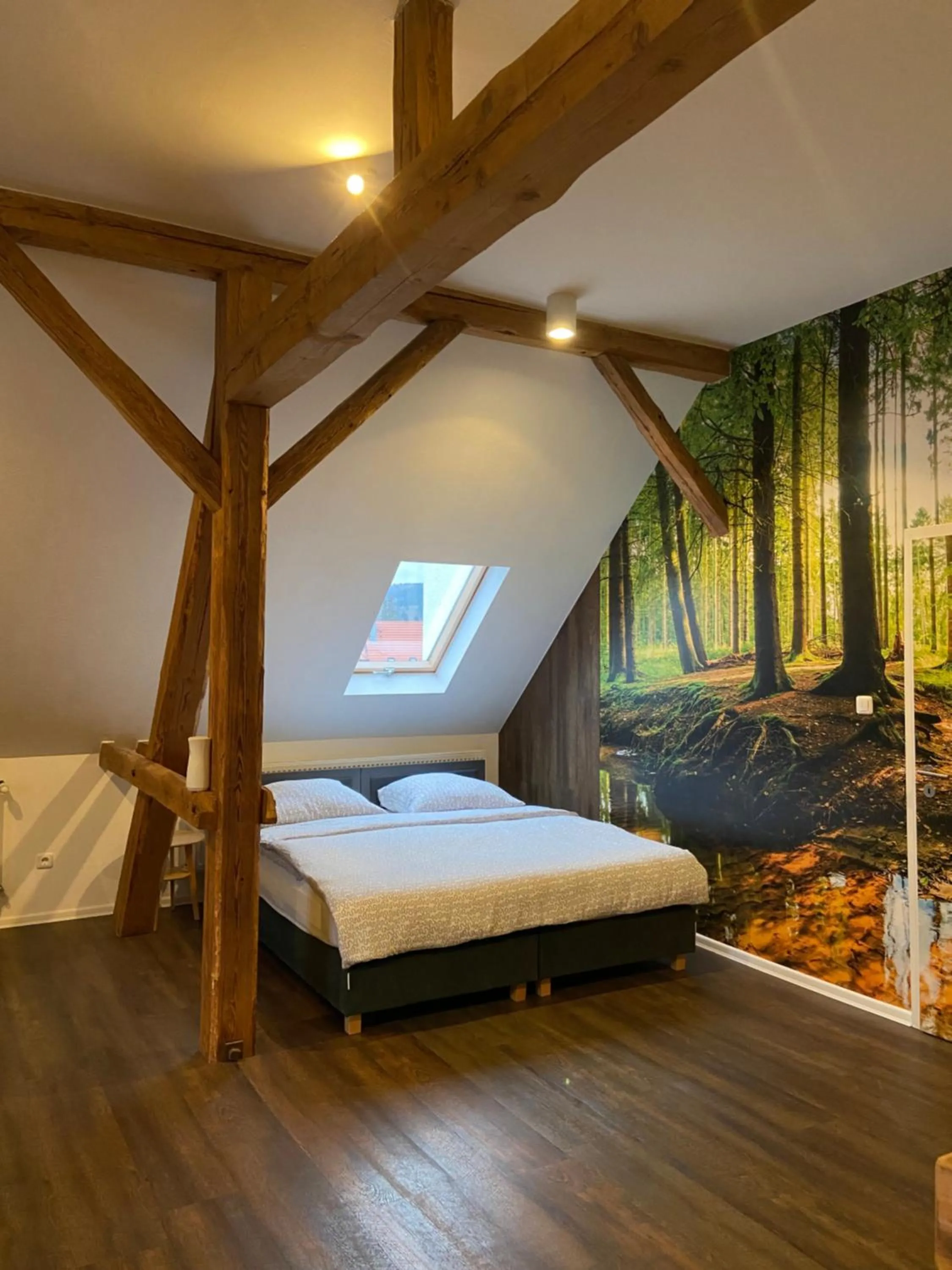 Bed in Zur Sonne "Gasthaus-Bar-Events"