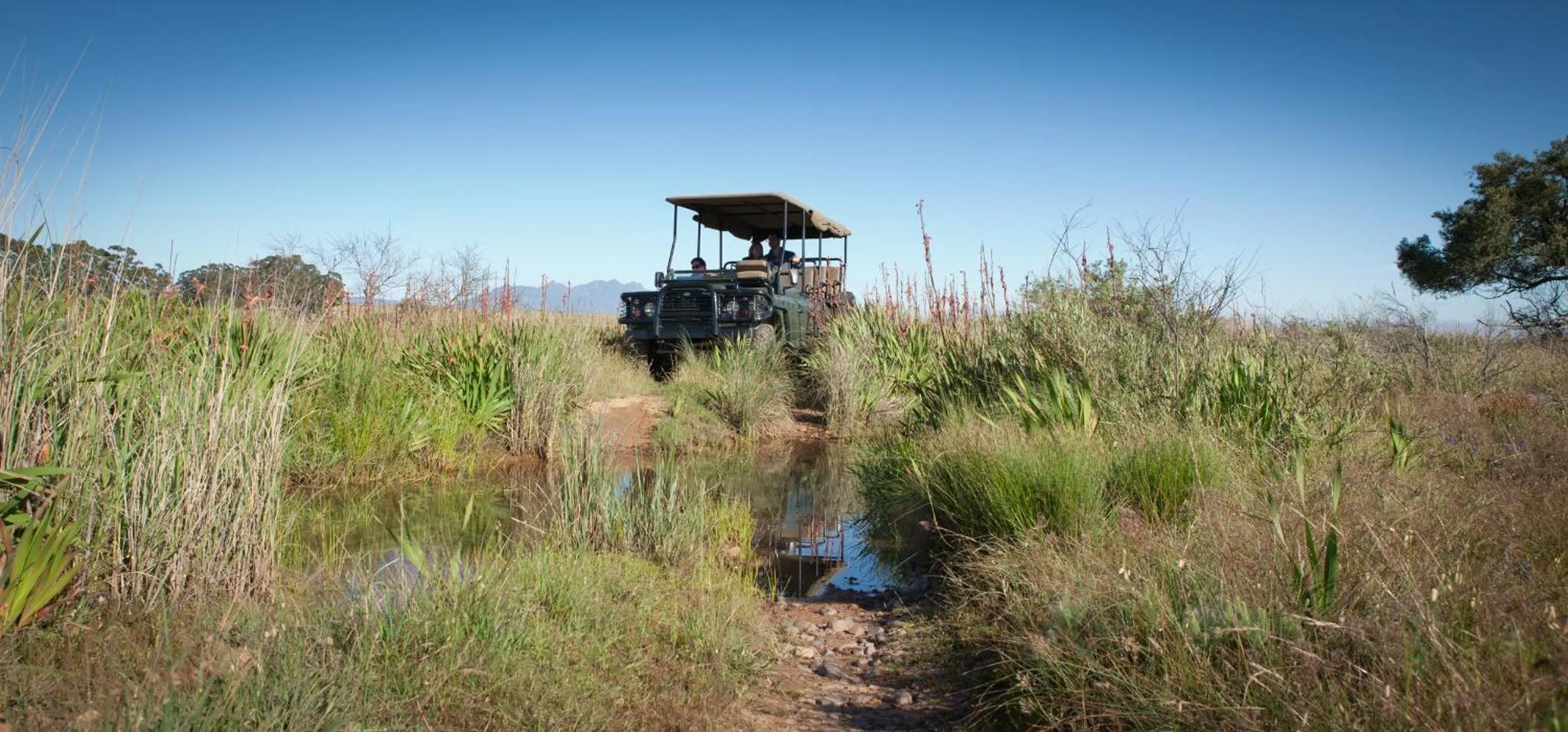 Natural landscape in Bartholomeus Klip Farmhouse