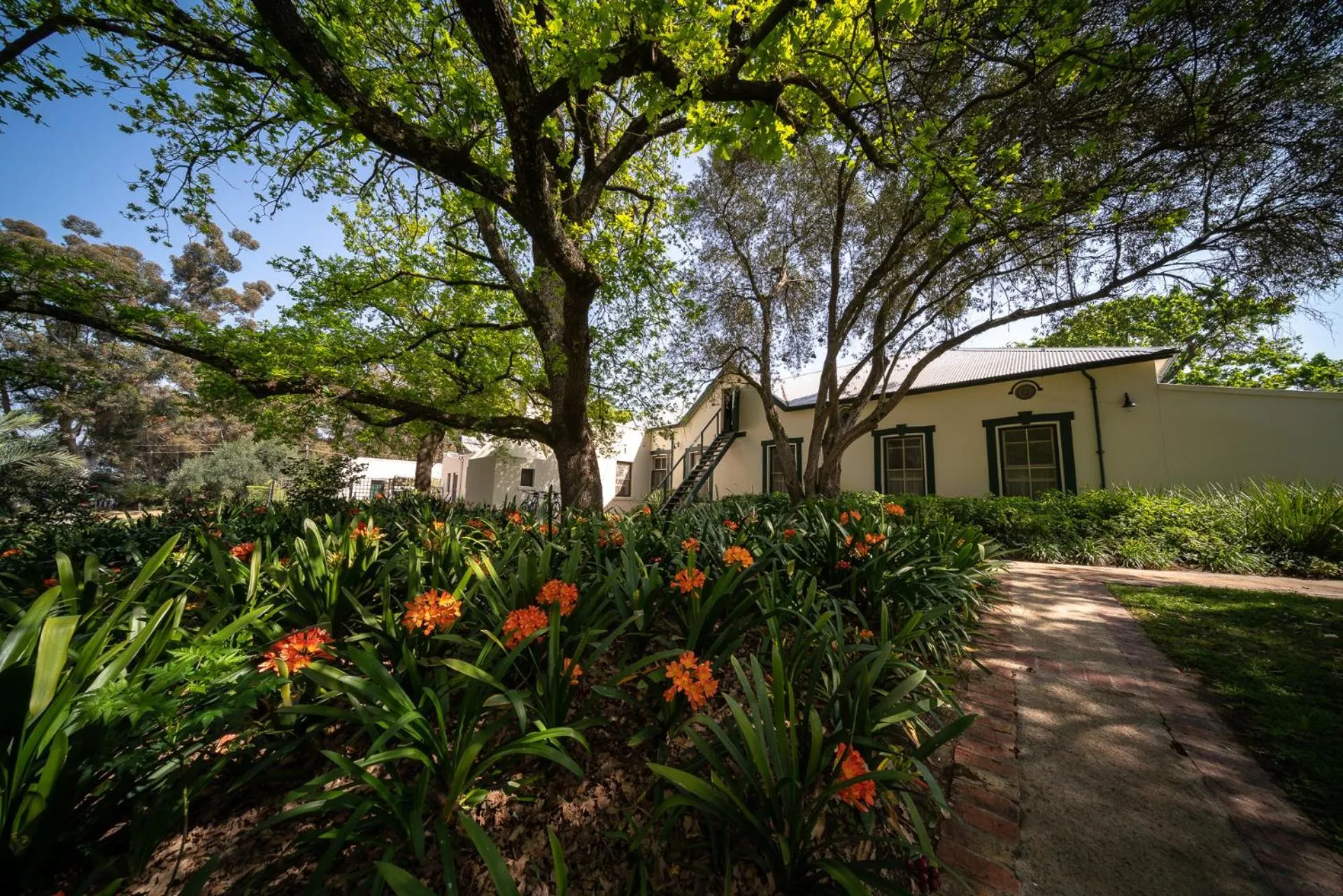 Garden view in Bartholomeus Klip Farmhouse at Elandsberg Nature Reserve