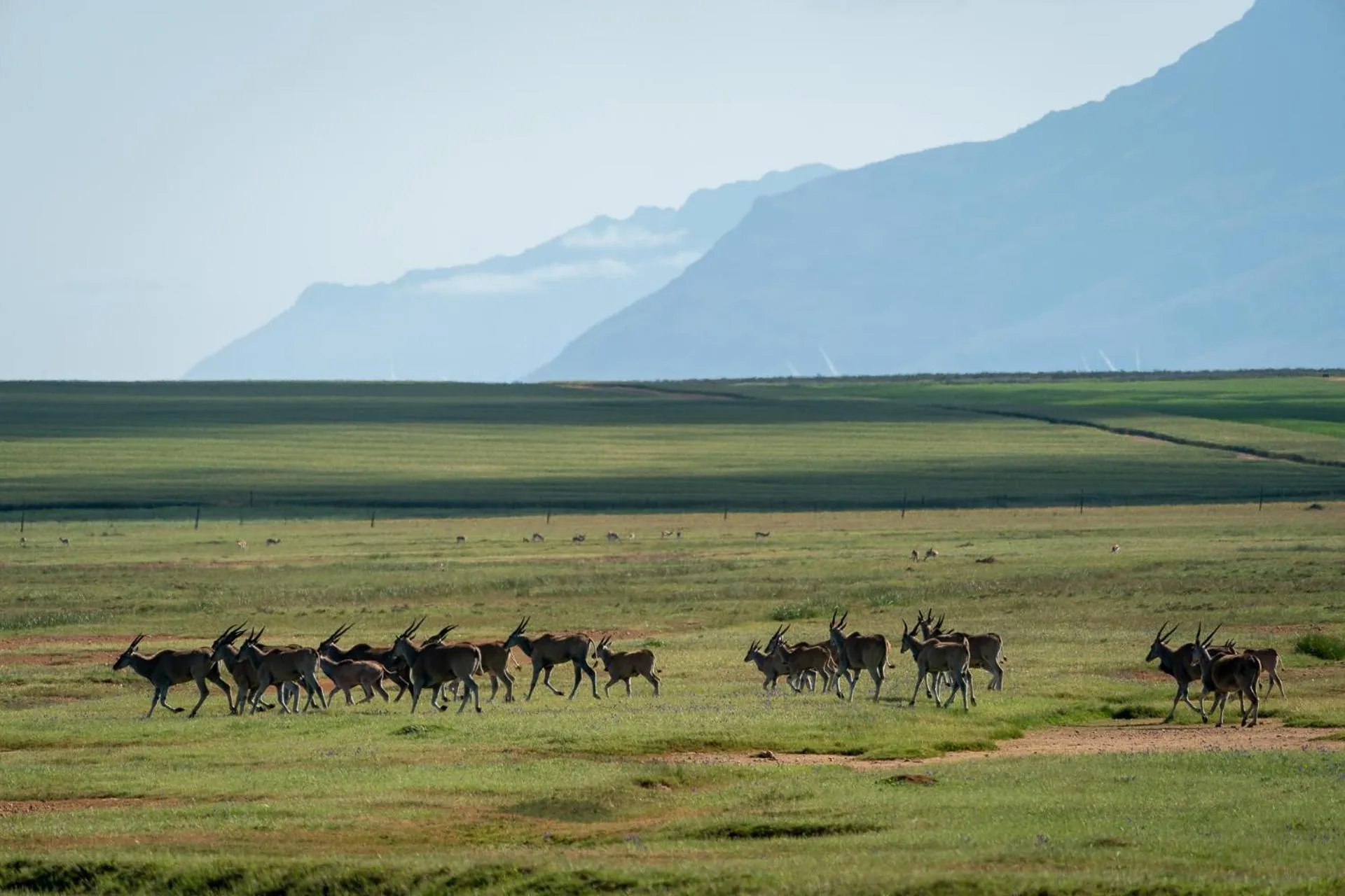 Natural landscape in Bartholomeus Klip Farmhouse