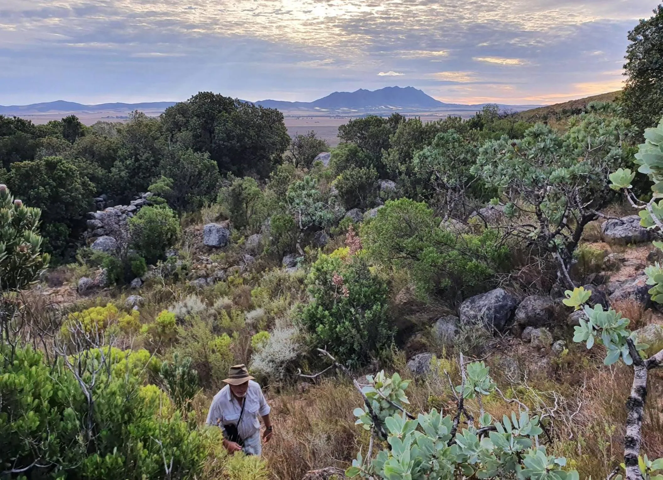 Natural landscape in Bartholomeus Klip Farmhouse