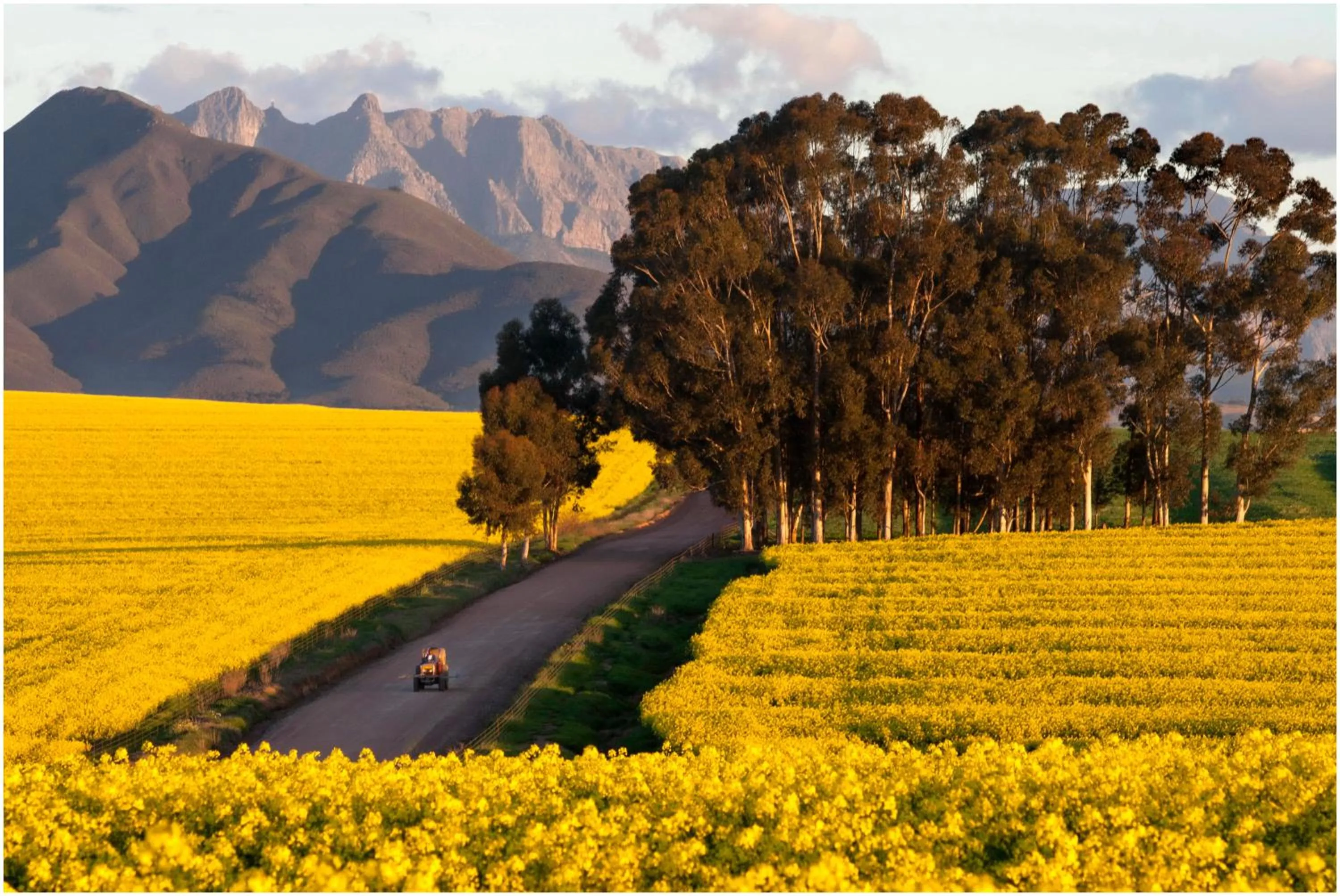 On site in Bartholomeus Klip Farmhouse