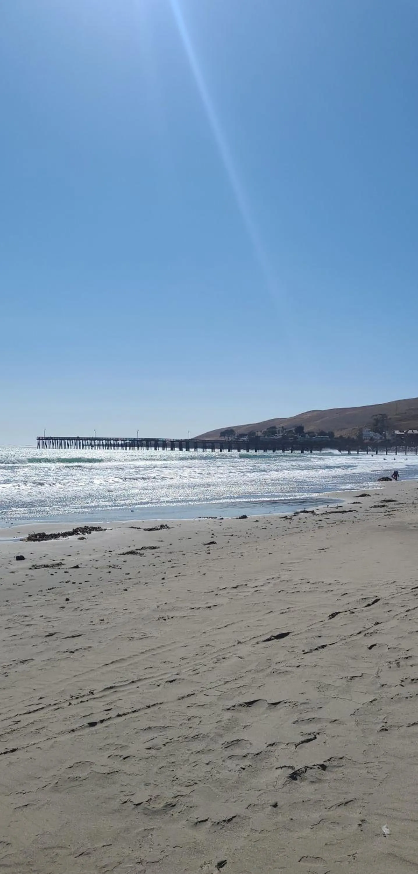 Beach in Cypress Tree Motel