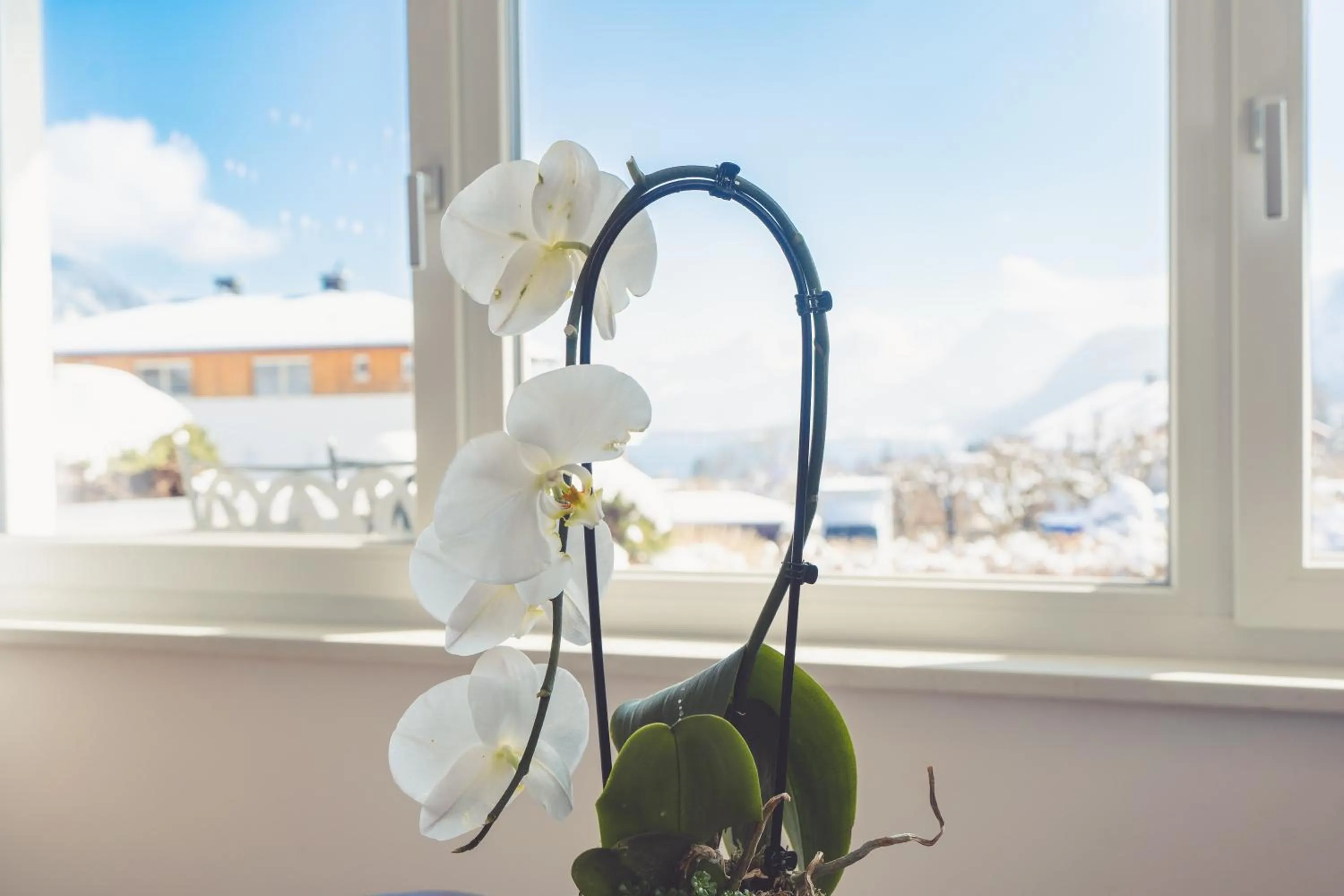 Property building in Anna Pertl - lieblingsquartier